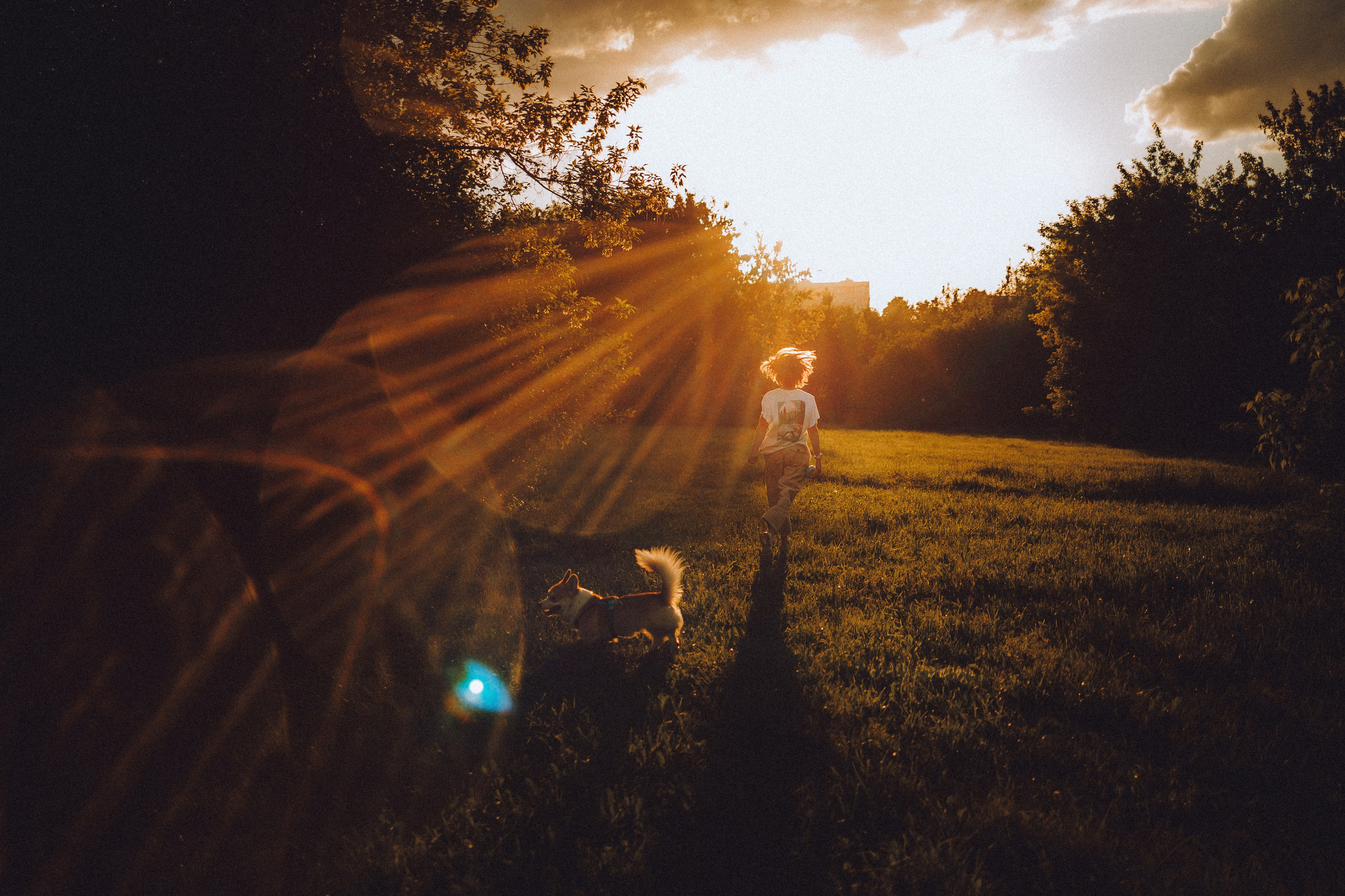 Вирджик и его семья