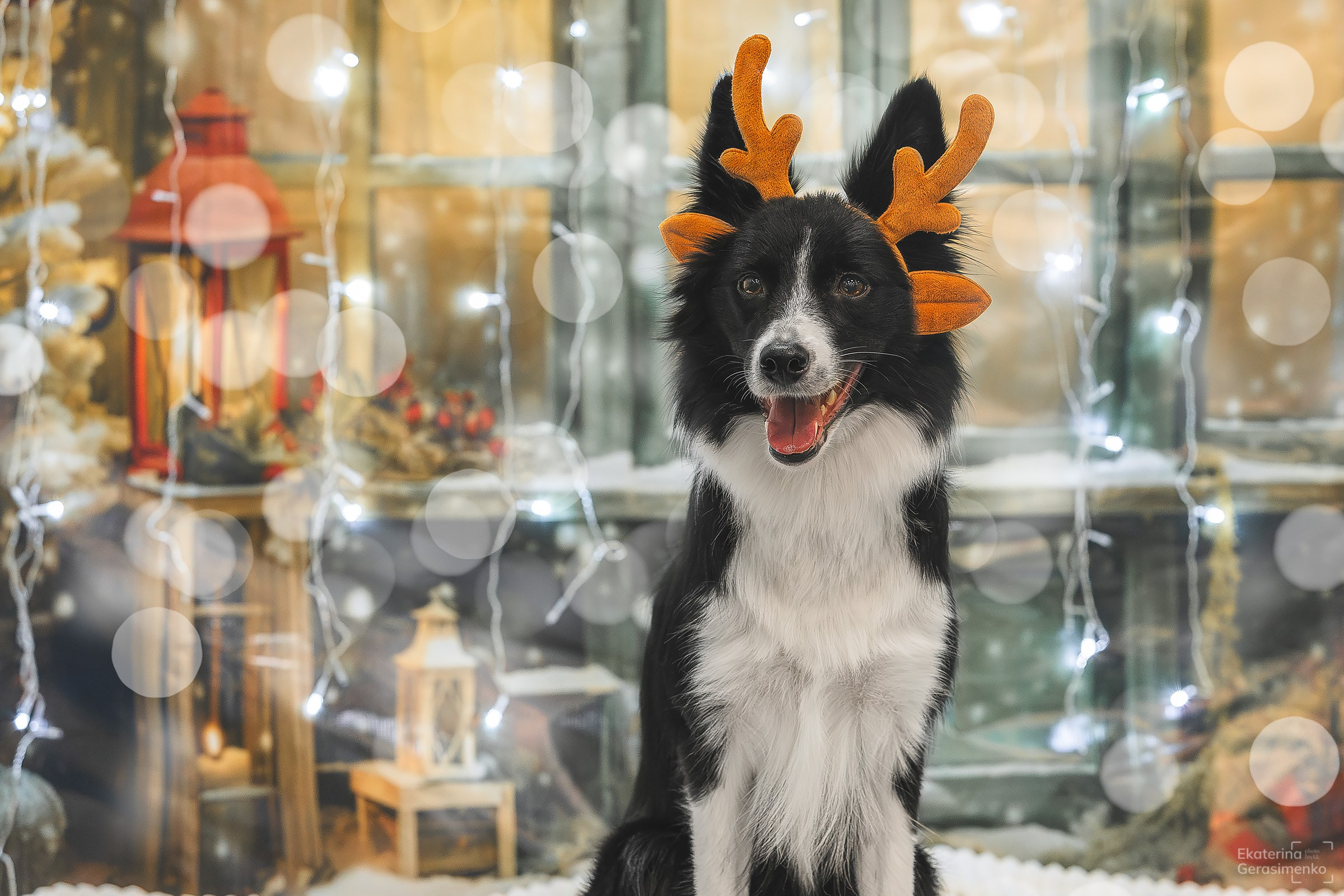 Фотодень. Htykk_photo