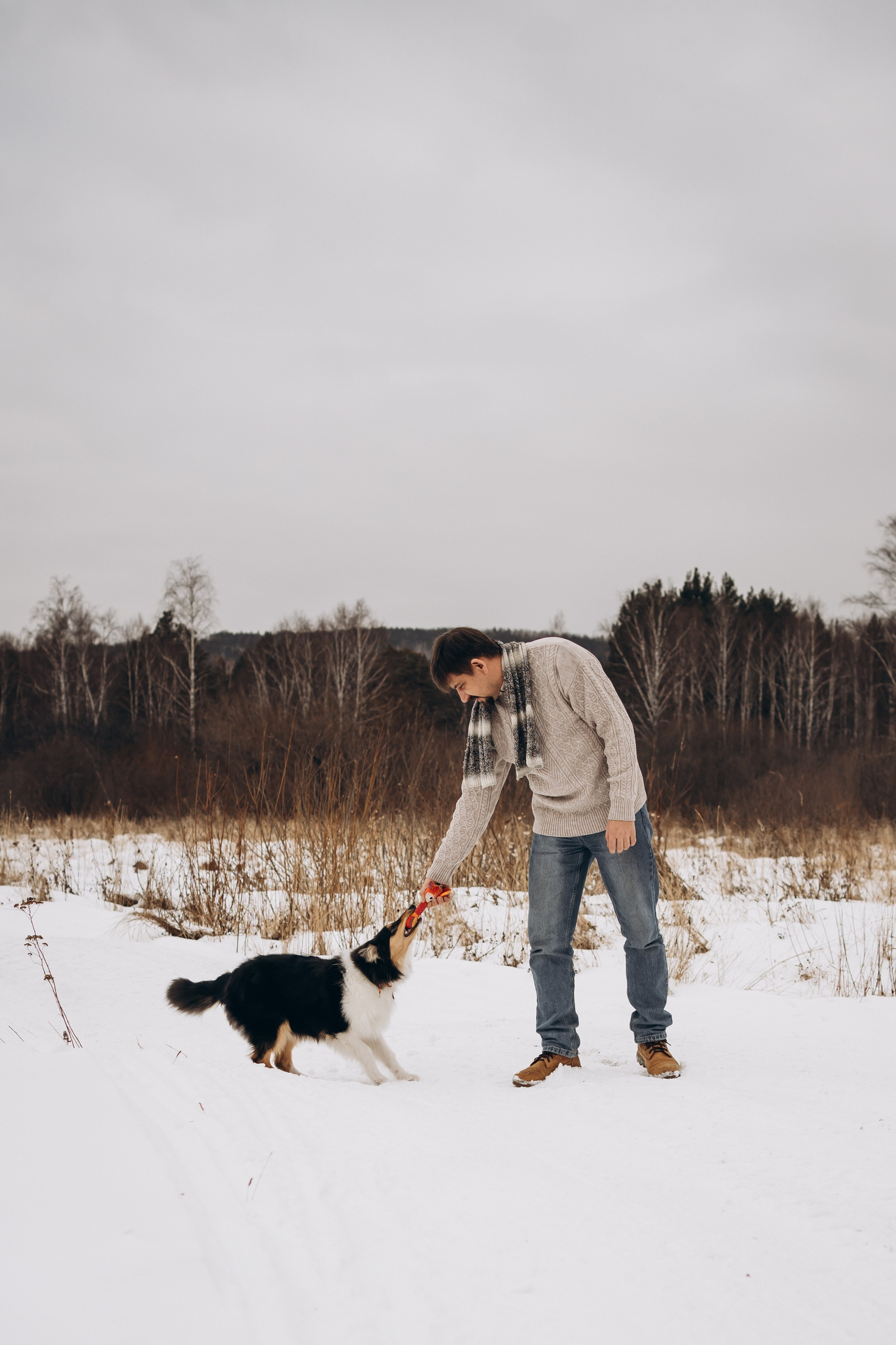 Альма. Фотограф-анималист Анастасия Большакова