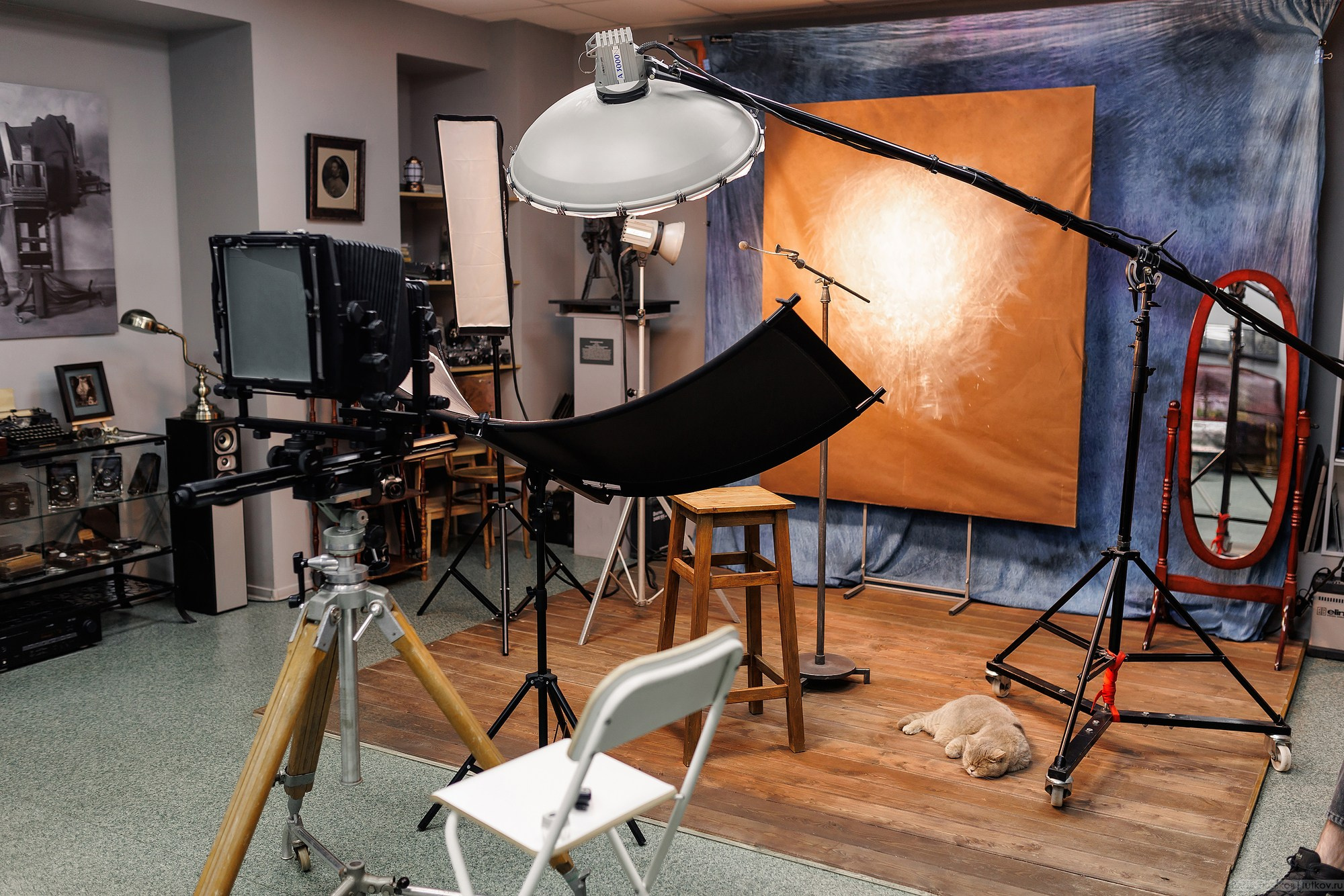 Анастасия и Дмитрий. Свадебная фотосъёмка в Брянске | Влад и Ирина Тютьковы