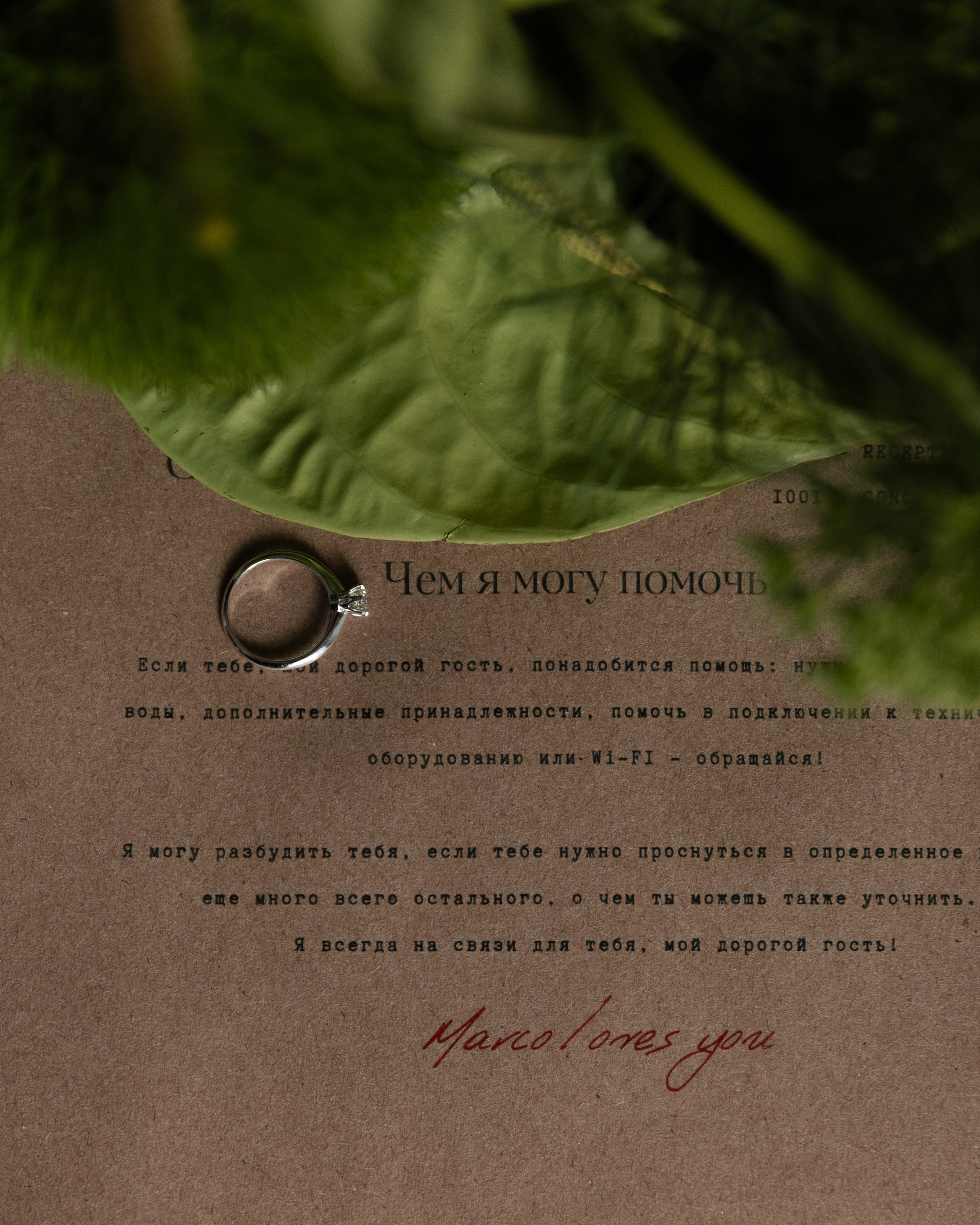 ЛИМОНЫ И ЛЮБОВЬ