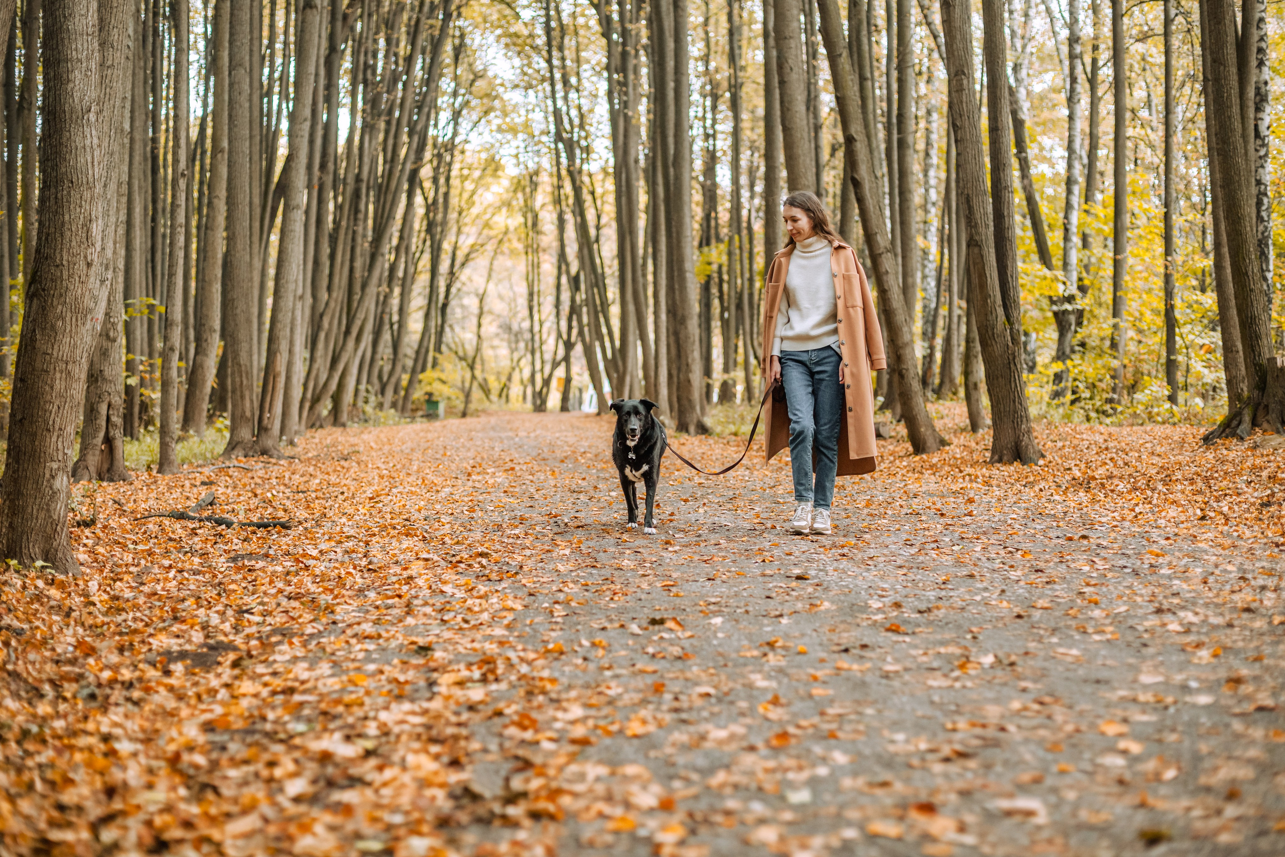 Юля и Фортуна. Фотограф-анималист Татьяна Степанова