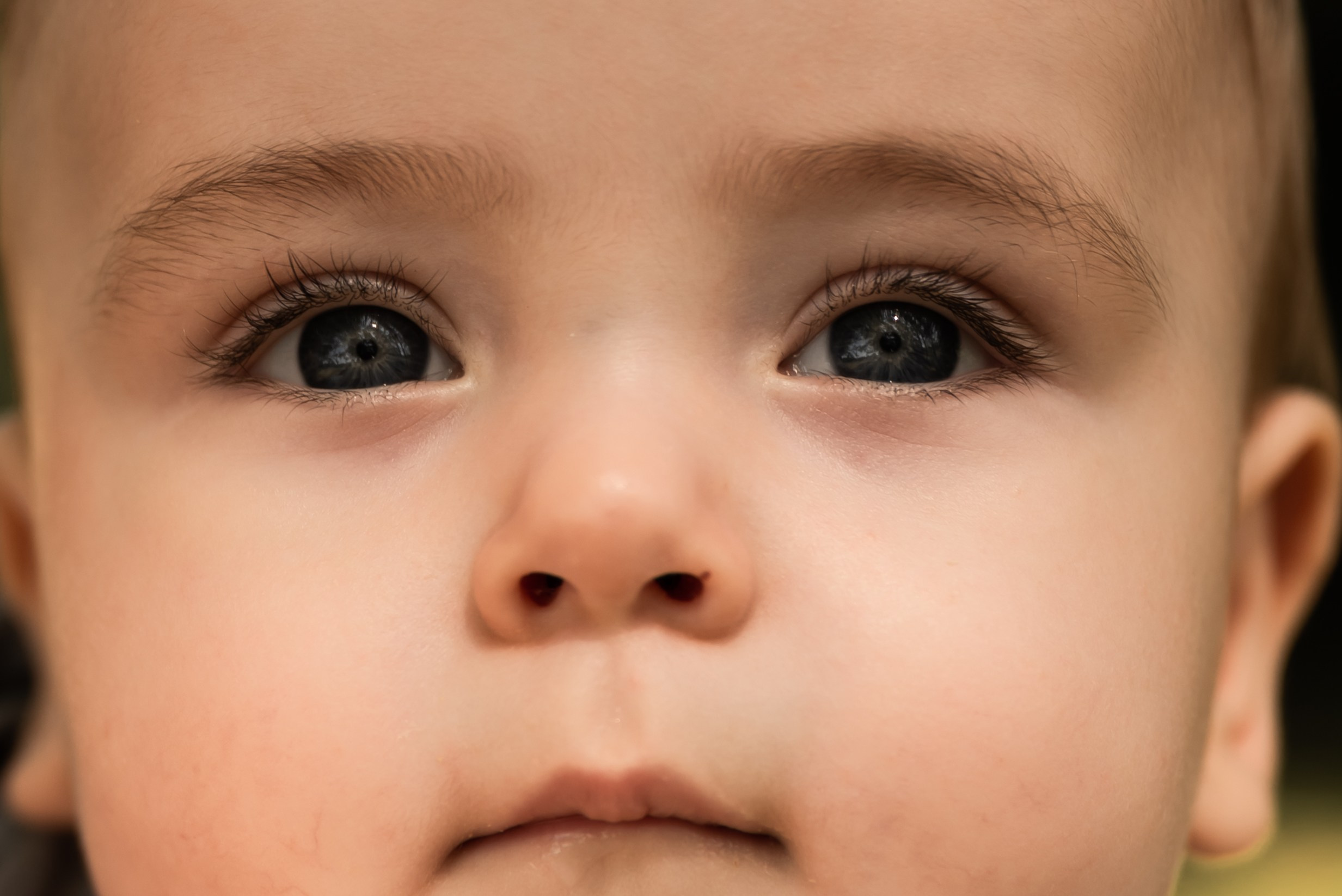 Прогулка в парке Кусково. Фотограф Ксения Огородова портфолио