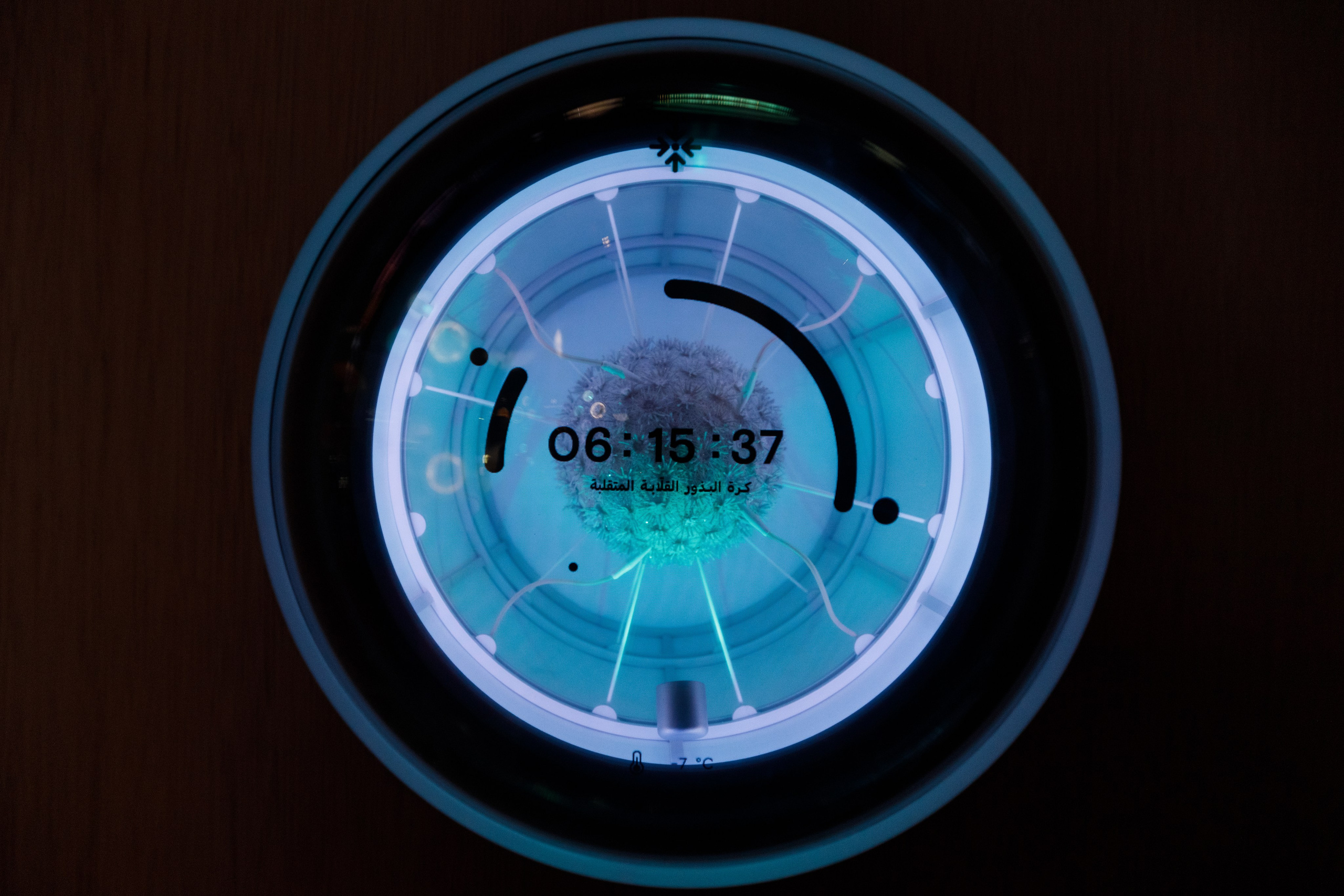 Дубай 2023. Руслан Плахтеев