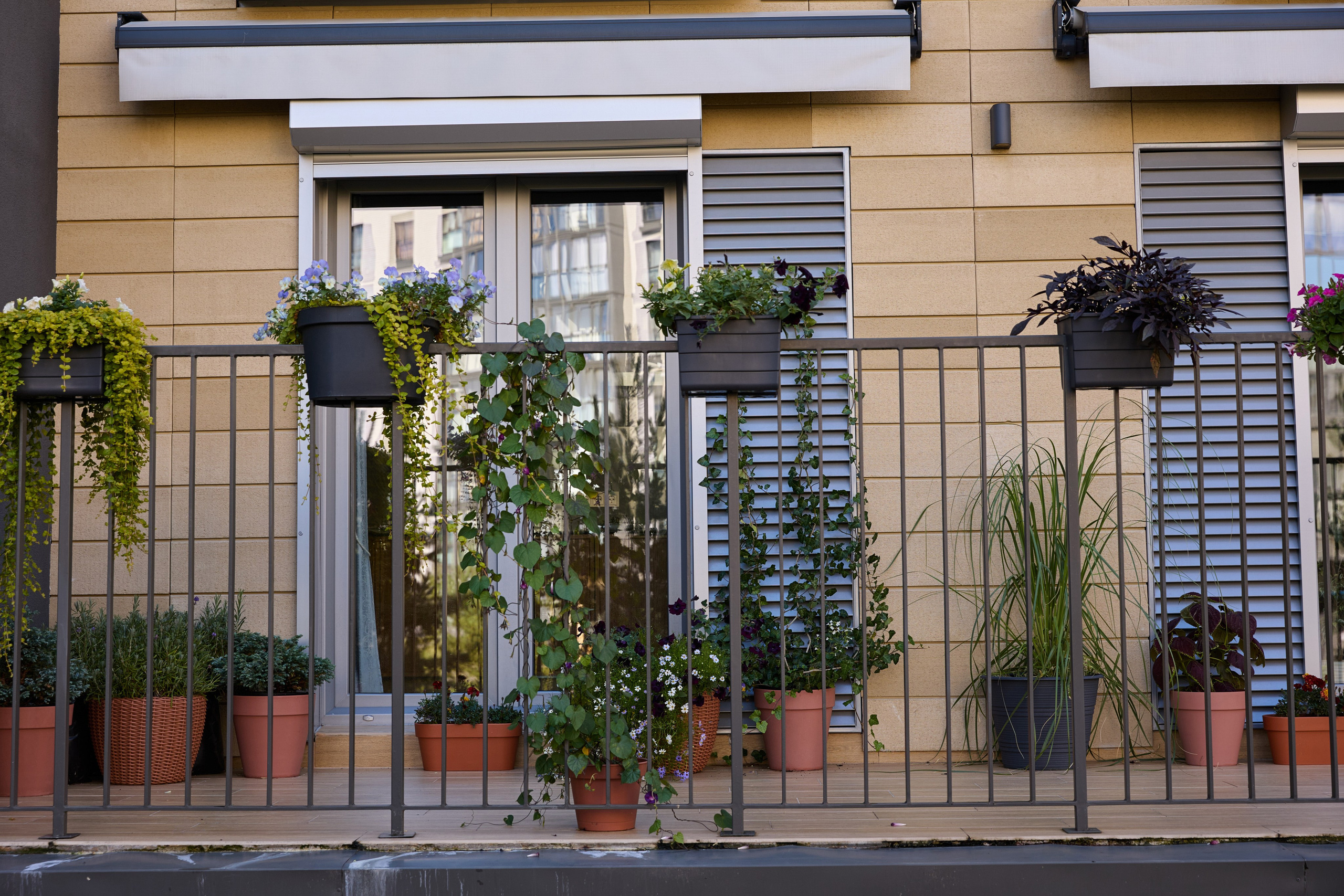 Пирс репортаж. Свадебная, репортажная фотосъемка и видеосъемка в Минске. Илья и Юлия Ширмановы. Фотограф | Видеограф | Минск