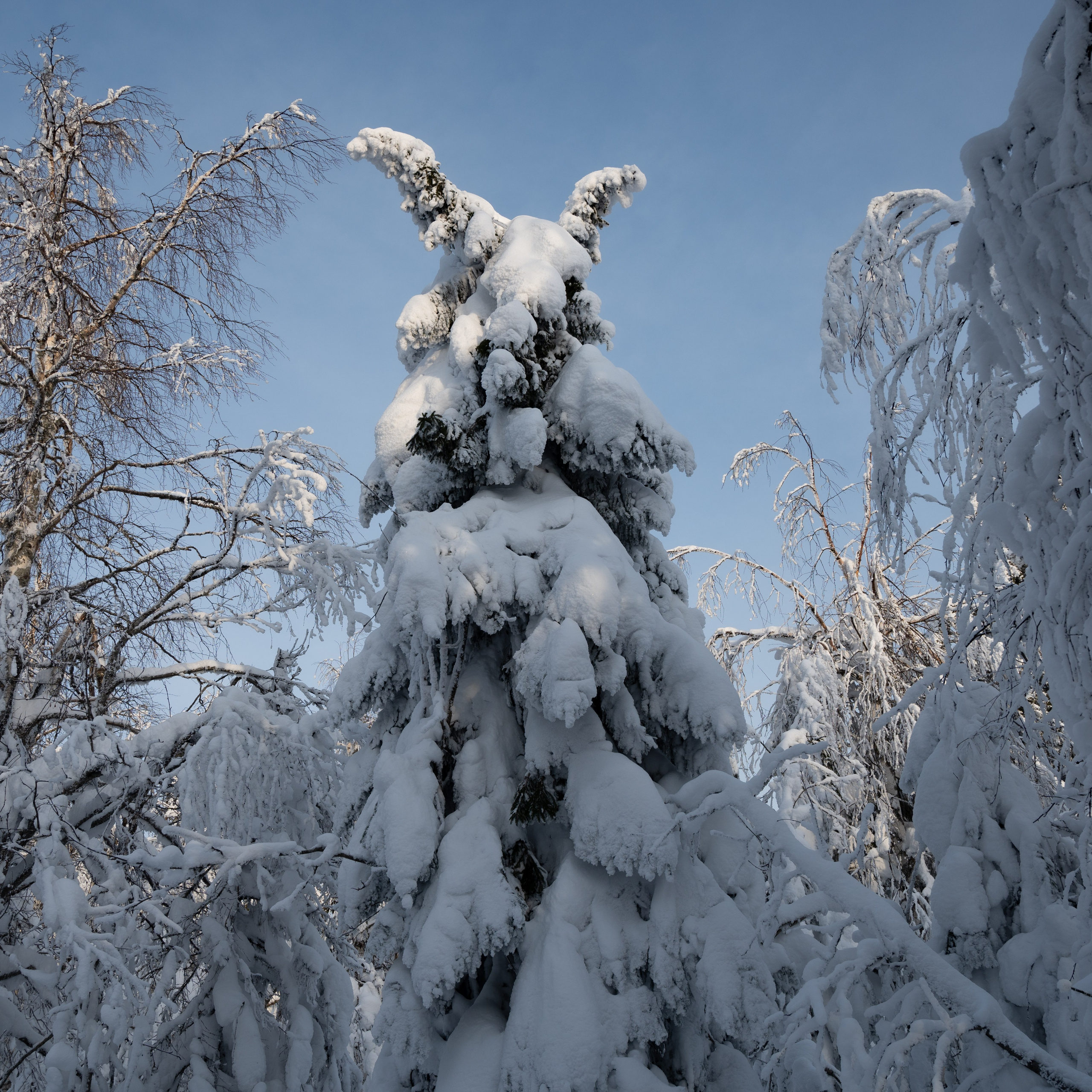 Фото тур в Каменный город (Усьва). Пленка средний формат. Студия подкастов в Перми фотограф видеограф Михаил Воскресенских