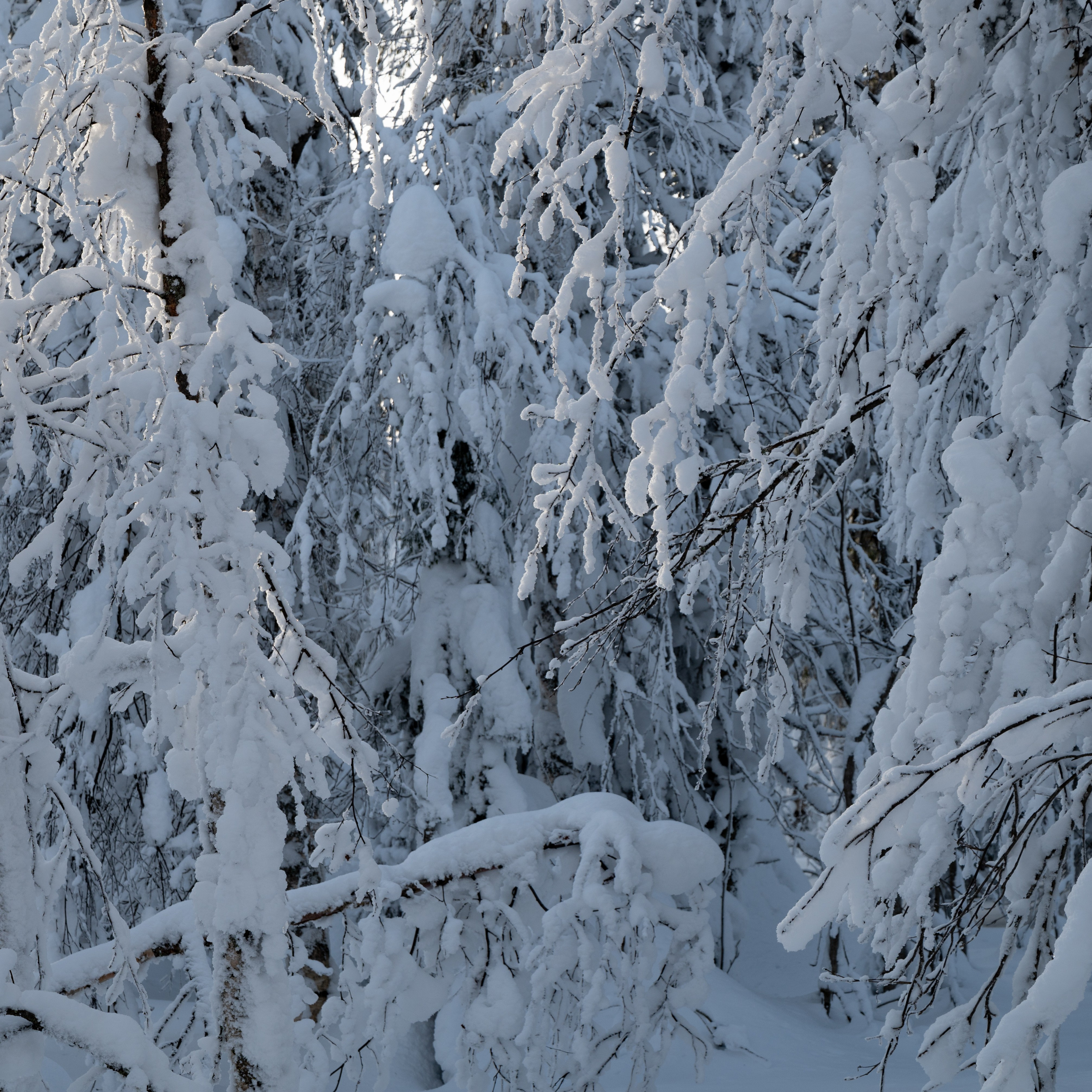 Фото тур в Каменный город (Усьва). Пленка средний формат. Студия подкастов в Перми фотограф видеограф Михаил Воскресенских