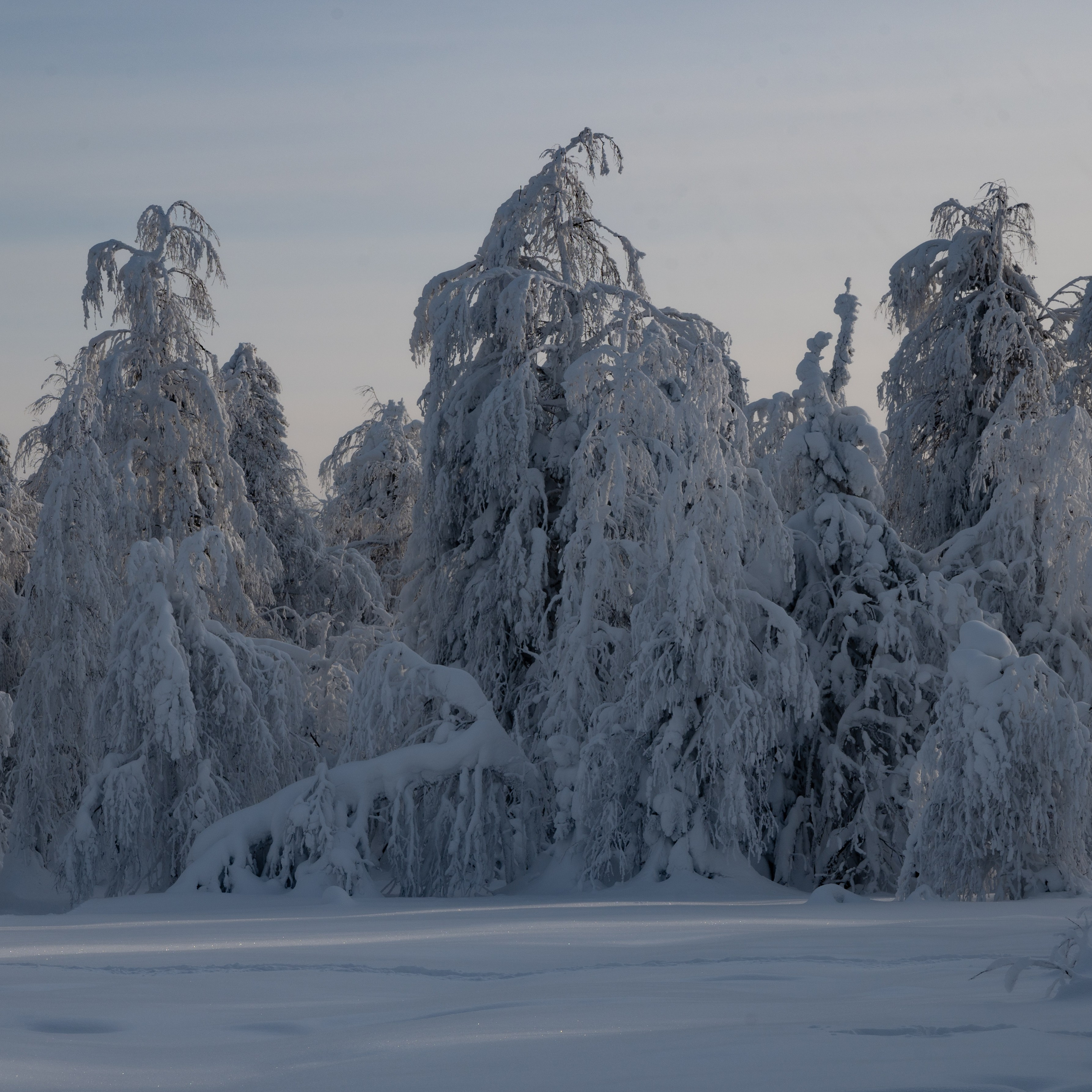 Фото тур в Каменный город (Усьва). Пленка средний формат. Студия подкастов в Перми фотограф видеограф Михаил Воскресенских