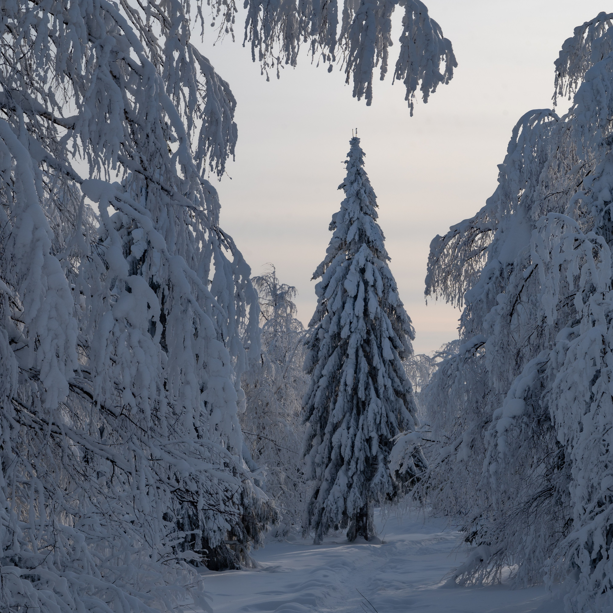 Фото тур в Каменный город (Усьва). Пленка средний формат. Студия подкастов в Перми фотограф видеограф Михаил Воскресенских