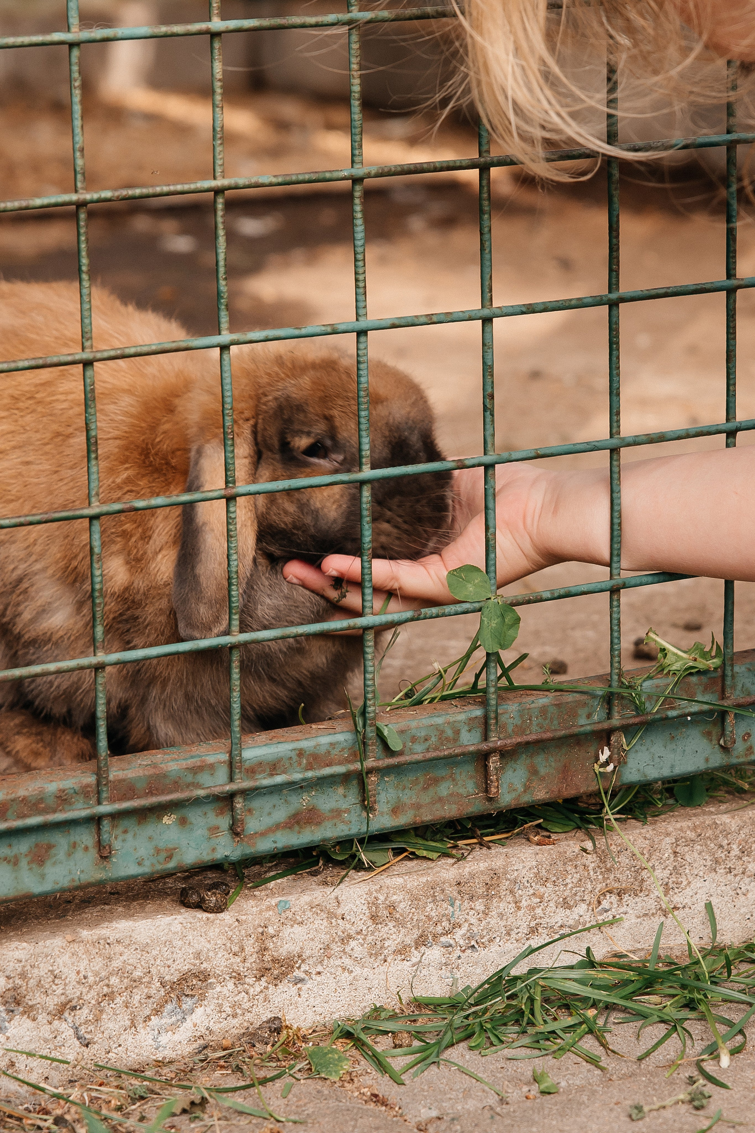 ANONS. Мария — Свадебный фотограф