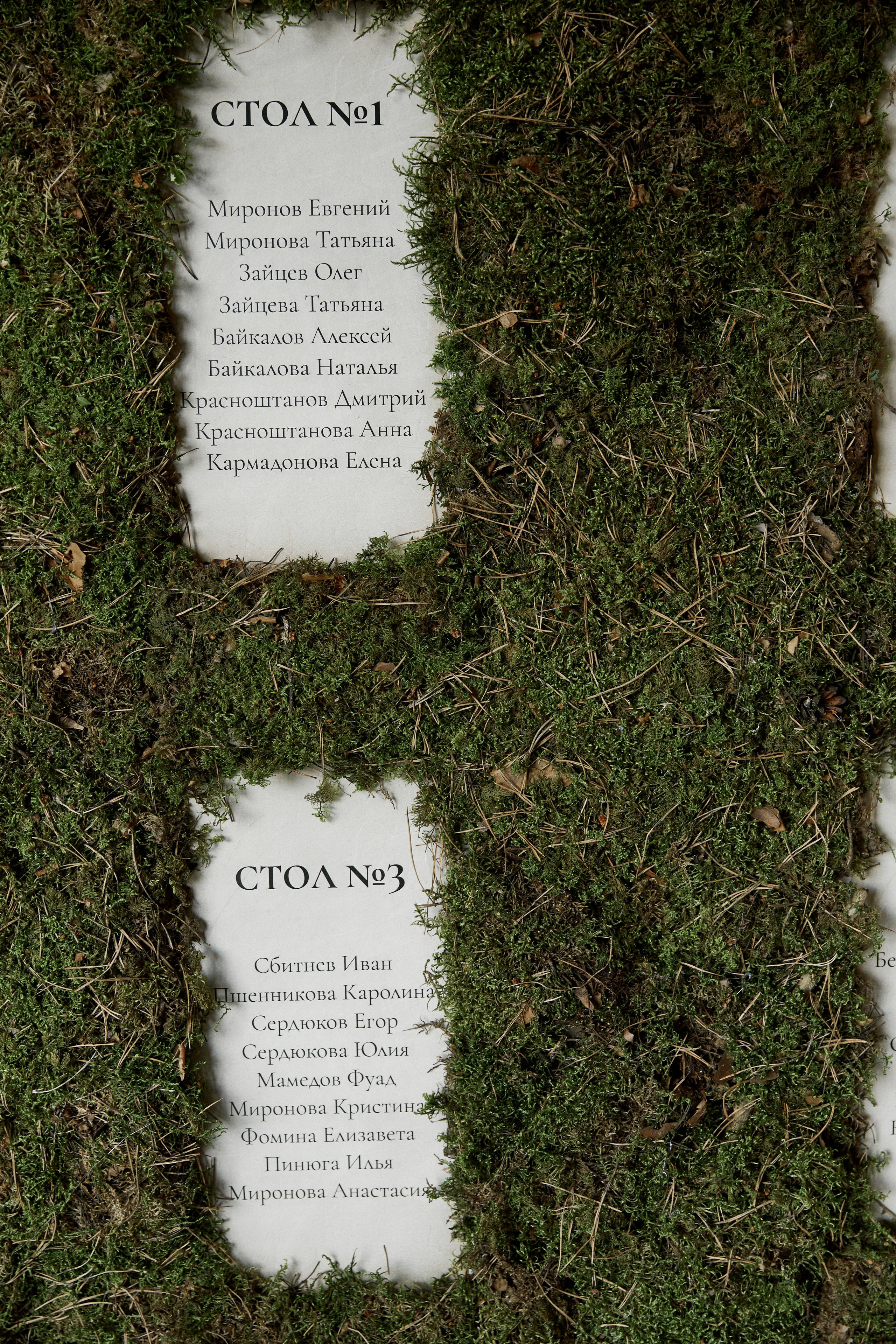 Посмотреть серию. Свадебный и семейный фотограф в Красноярске Тряпчев Павел