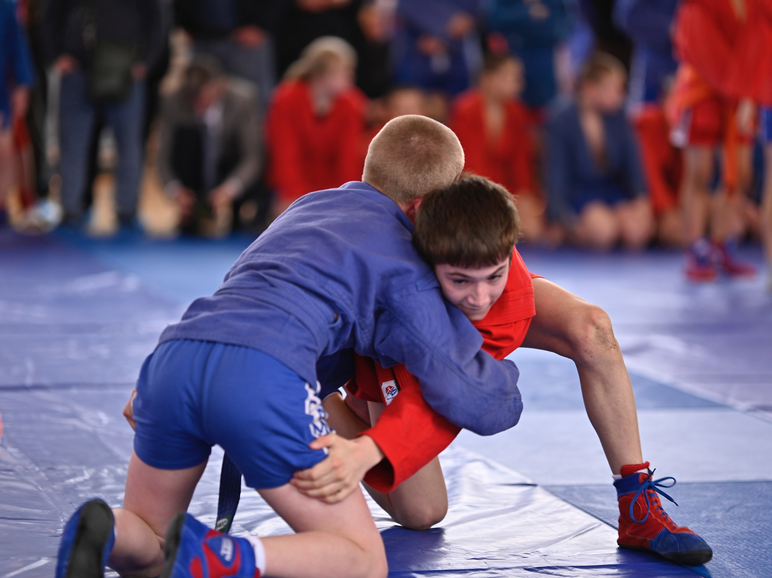 Самбо. Фотограф Ваших событий 📸