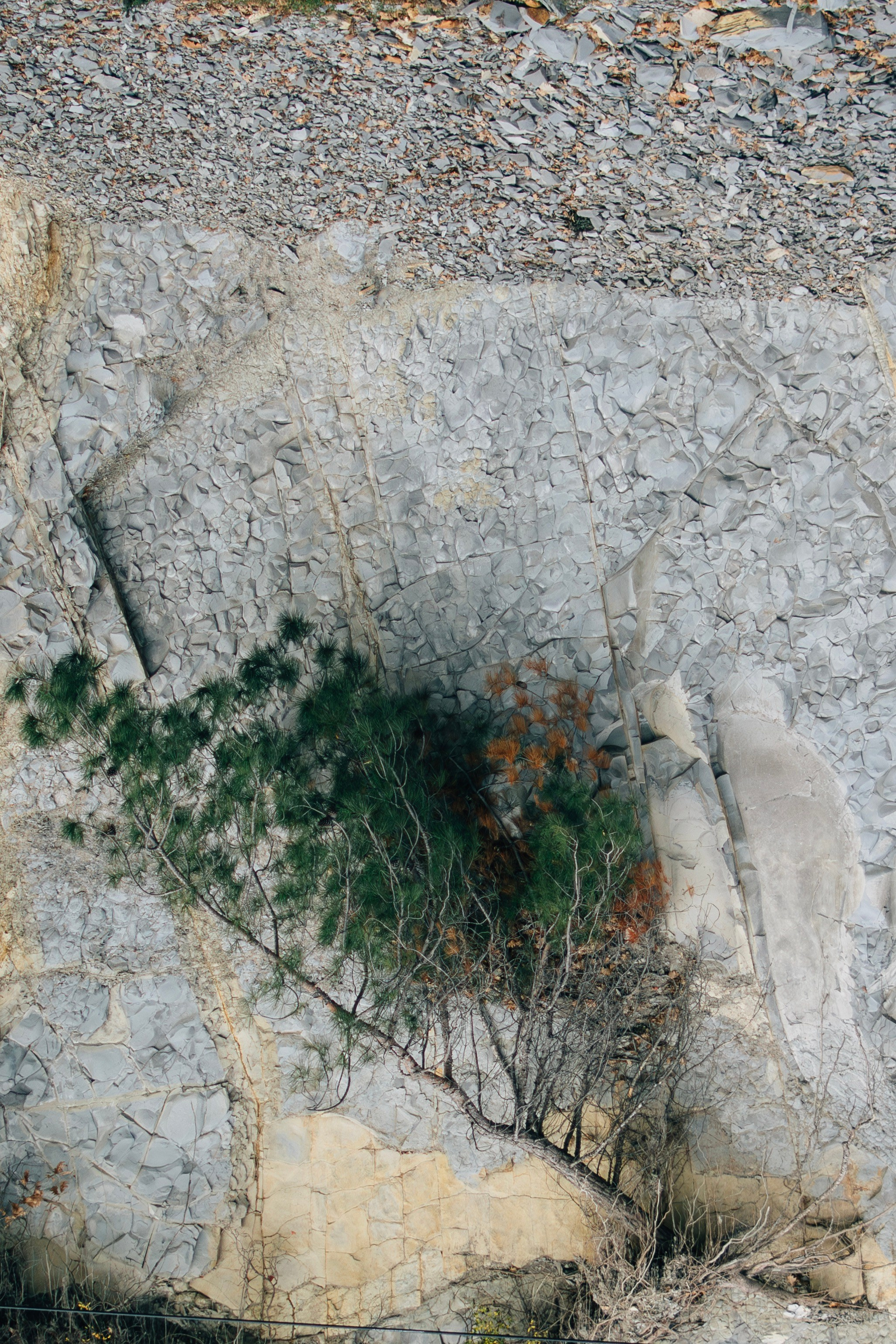 Untitled. Свадебный и Event фотограф в Москве | Андрей Губренко | Gubrenko