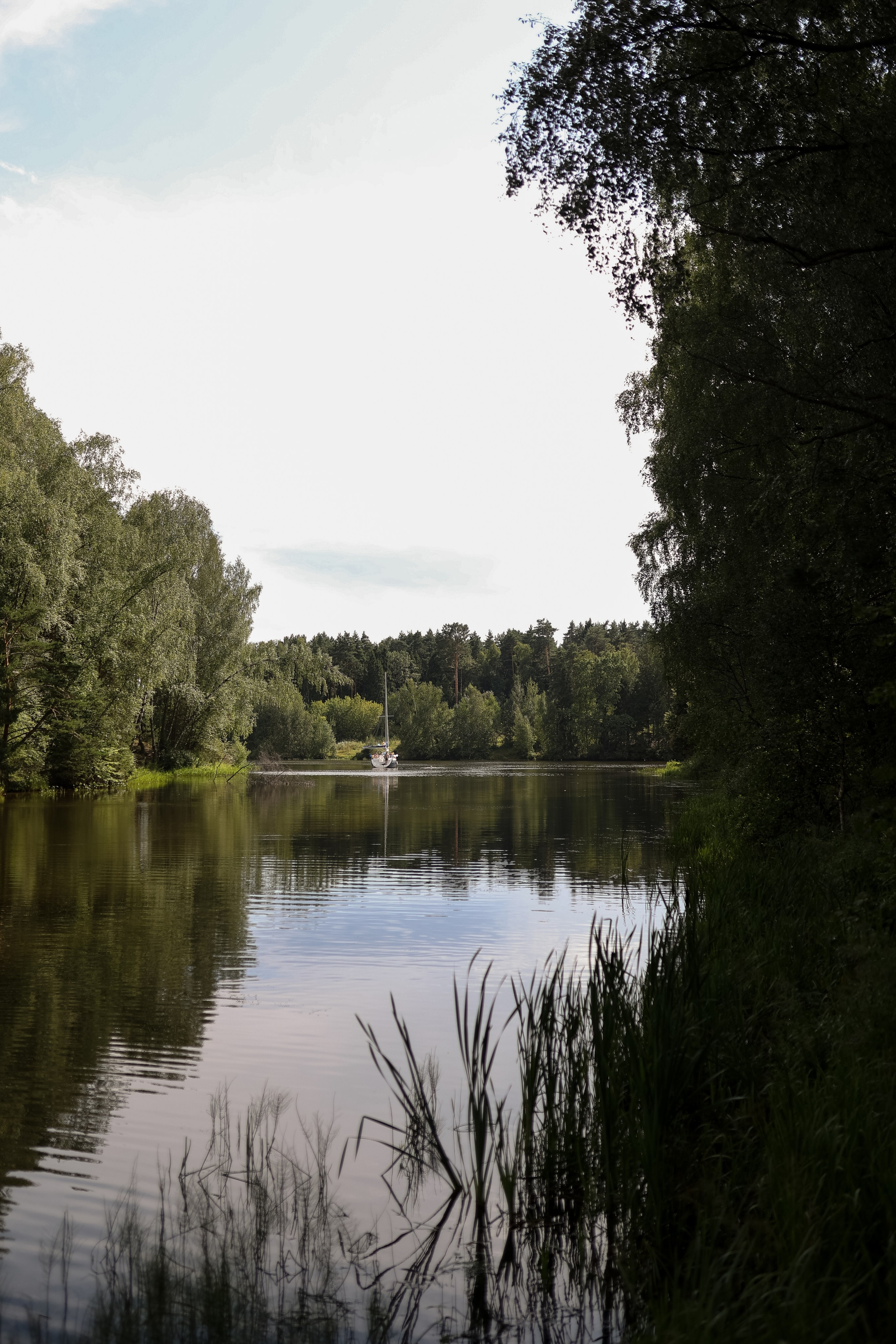 Лесная. Главная