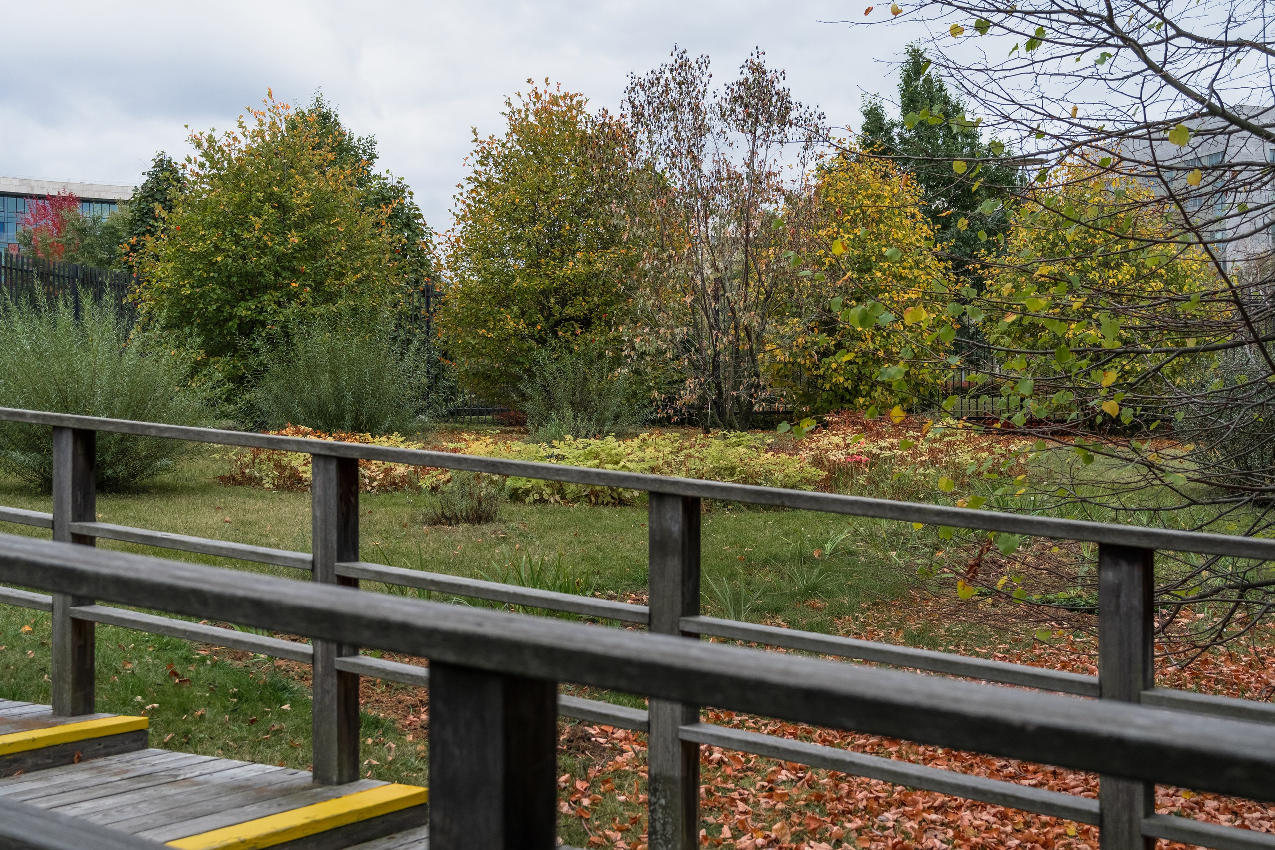 Skolkovo Park. Артамонов Александр | Архитектурный и ландшафтный фотограф