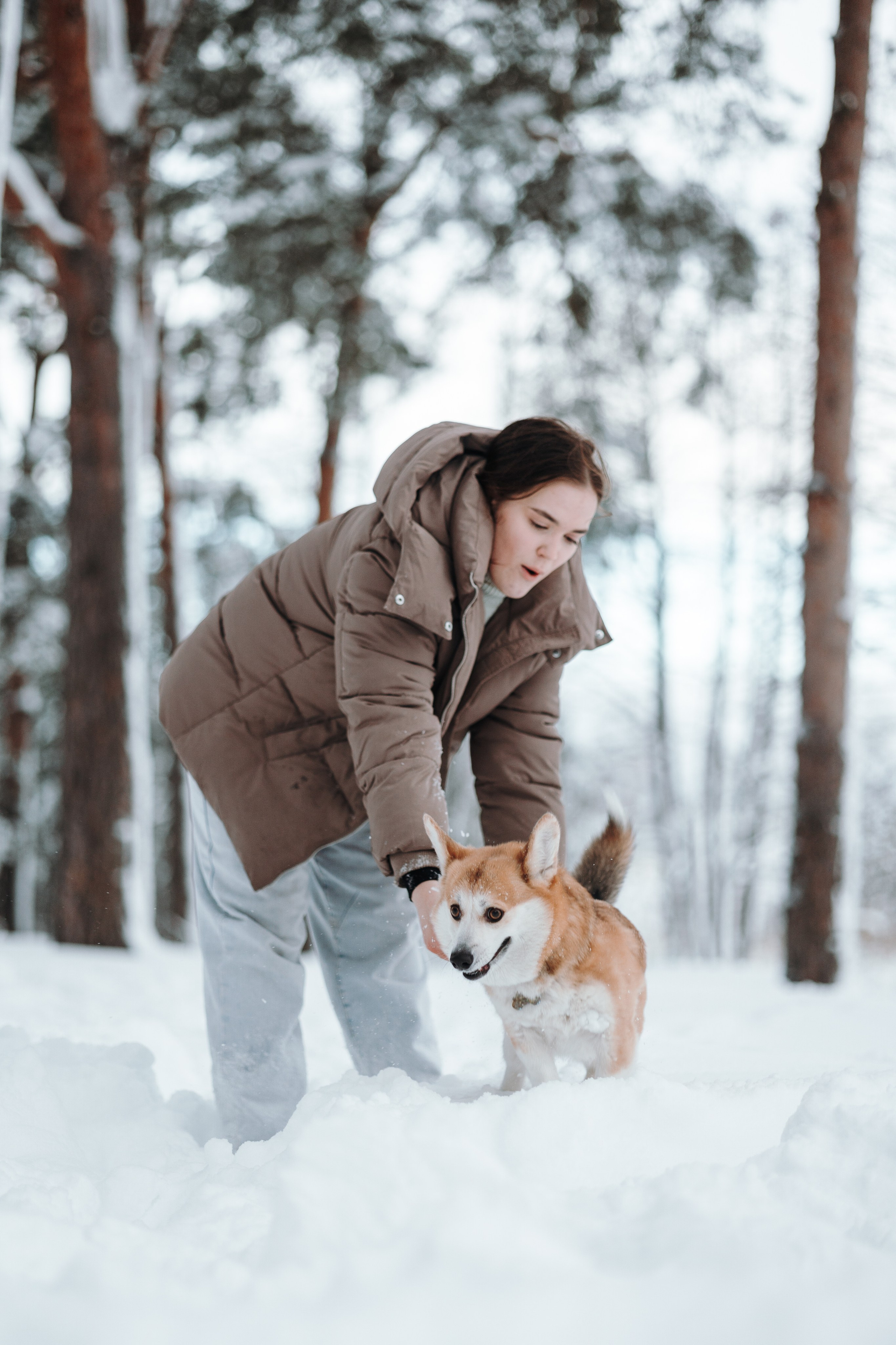Оливка и ее семья. Фотограф — Анималист | Санкт-Петербург