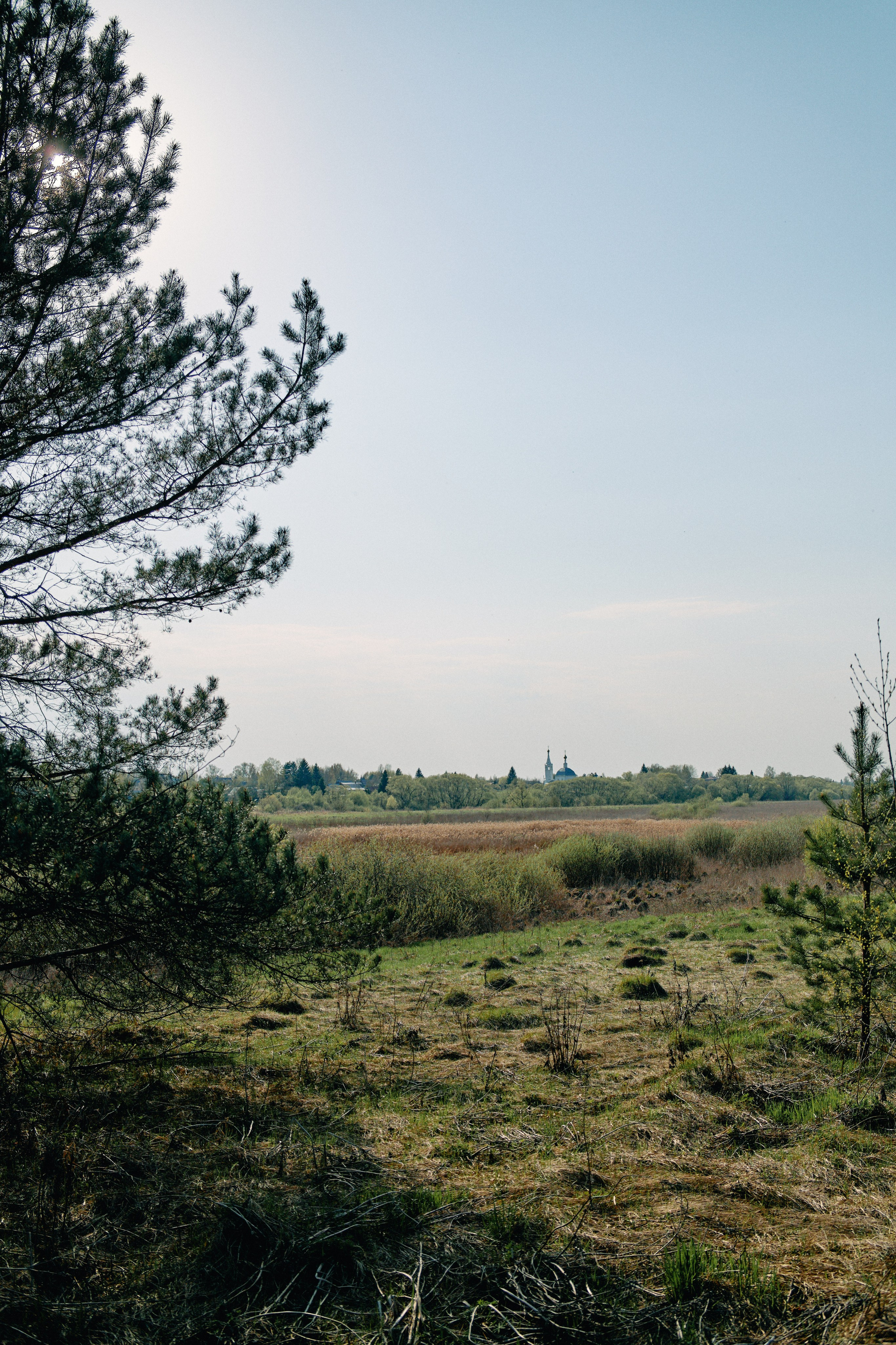 Бутик-отель Поле летом. Профессиональный Фотограф во Владимире, в Москве и в Суздале — Полина Романычева