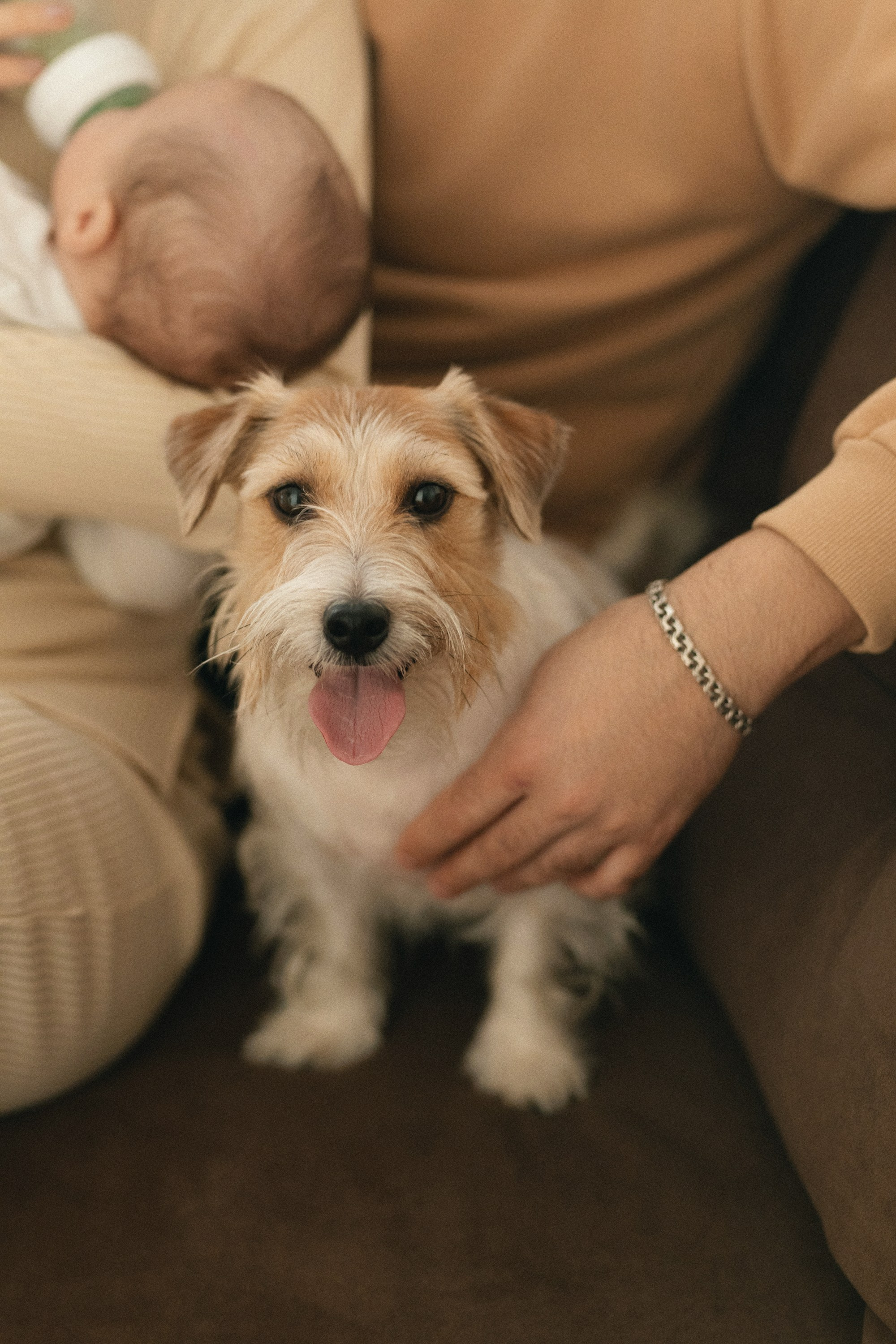 «ТРОЕ В ДОМЕ, НЕ СЧИТАЯ СОБАКИ». Maria Startseva Photo