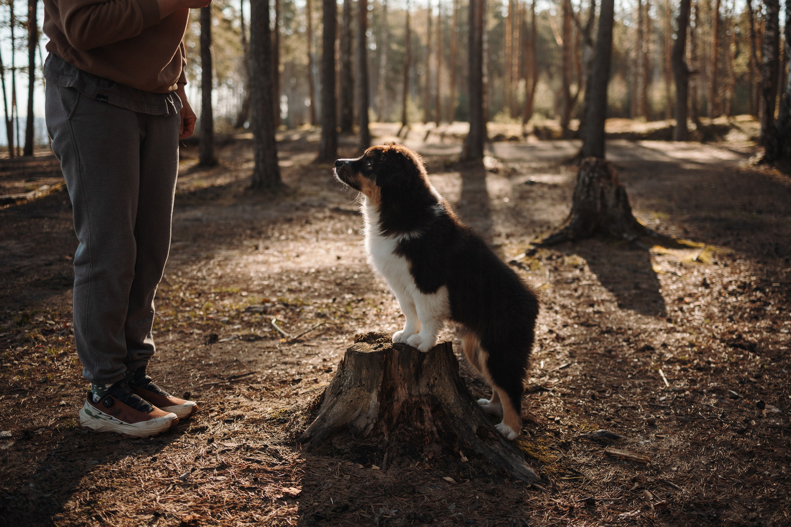 Ира и Шмель. Фотограф — Анималист | Санкт-Петербург