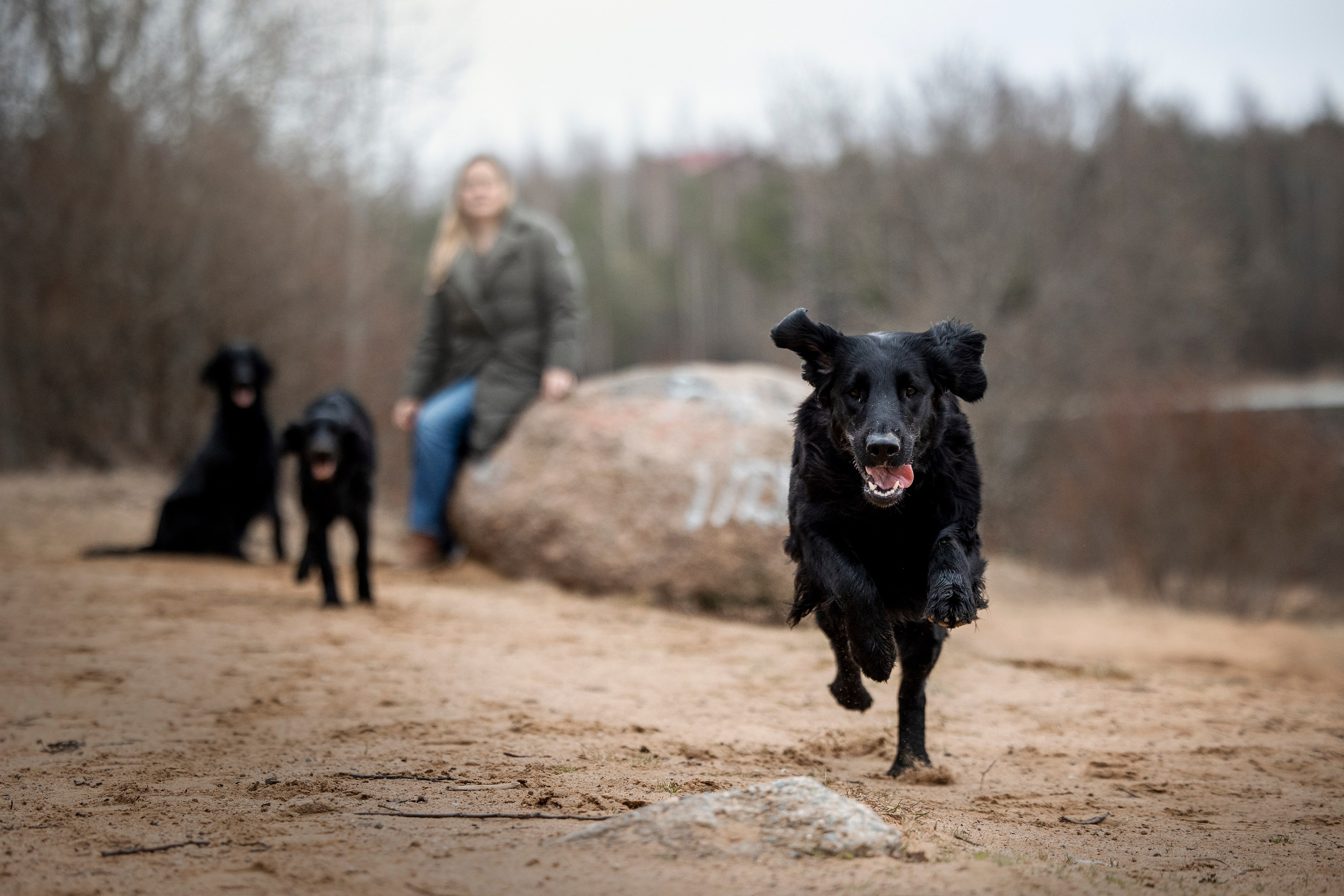 Ора, Ева, Рози и их семья. Фотограф — Анималист | Санкт-Петербург