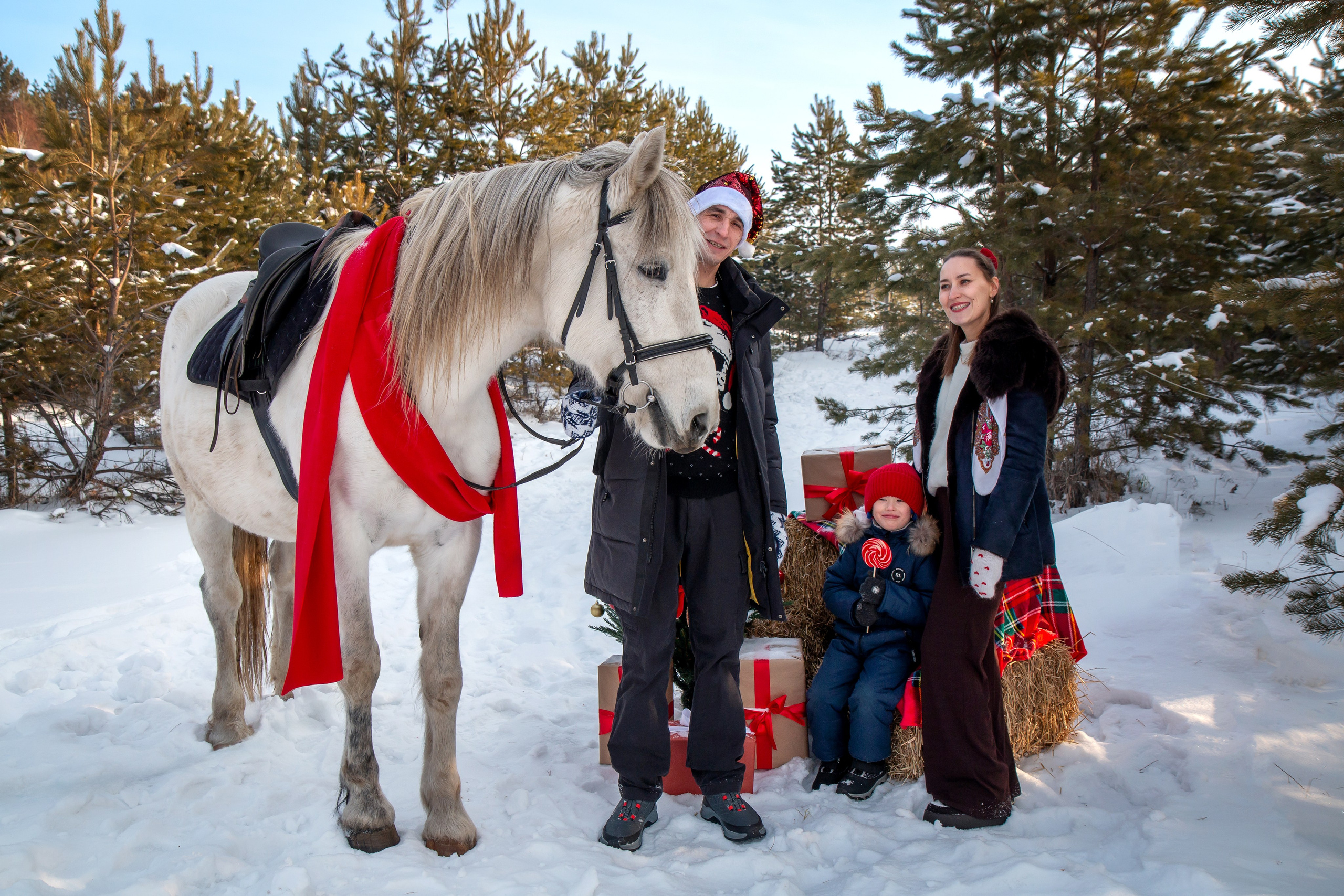 Анастасия с семьей. Участники «Новогоднего фотопроект с лошадью». Фотограф в Шелехове, лучшие выпускные альбомы в Шелехове