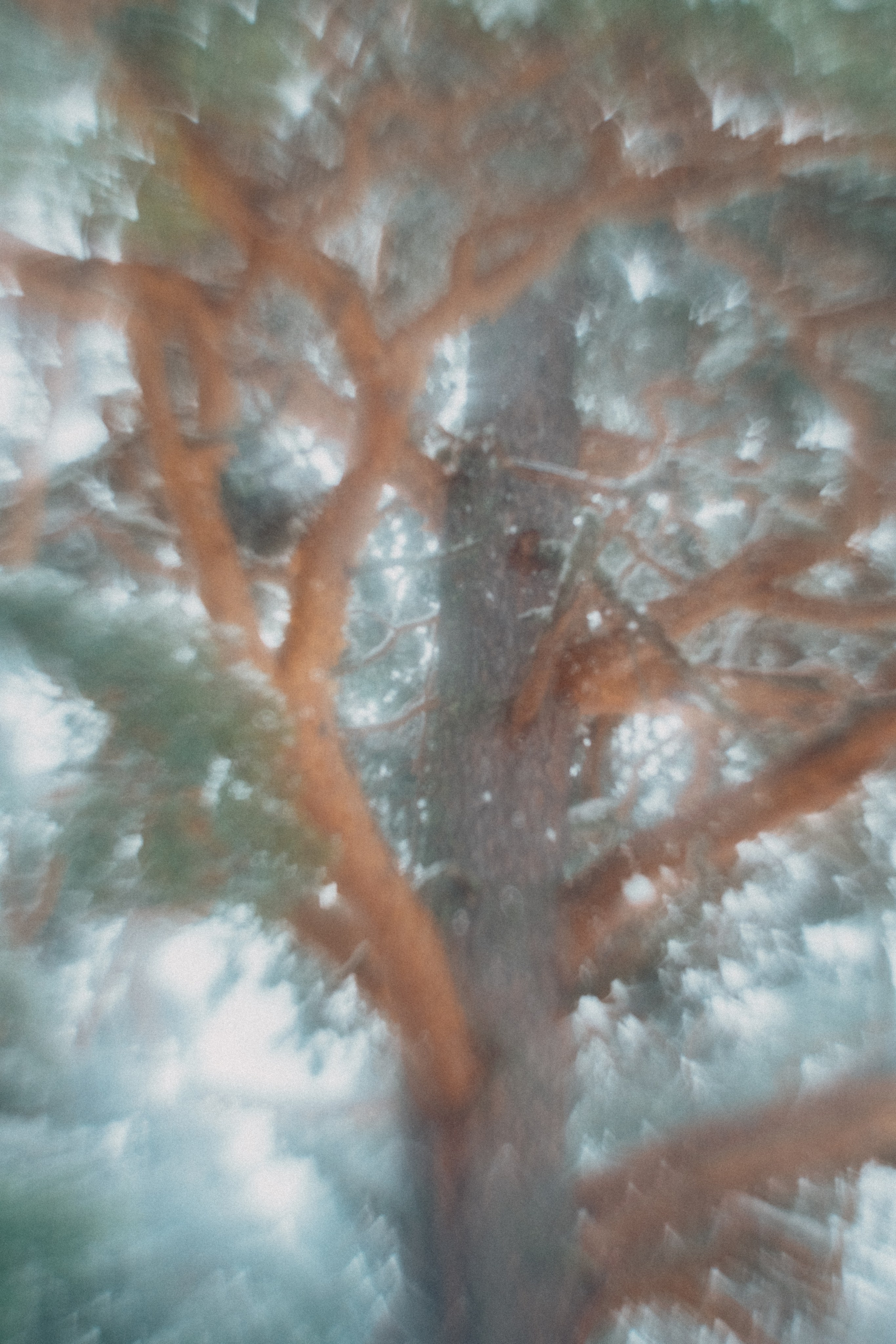 Южный Урал. Окрестности Ялангаса | Май 2024. Andrew Sozonov visual artist