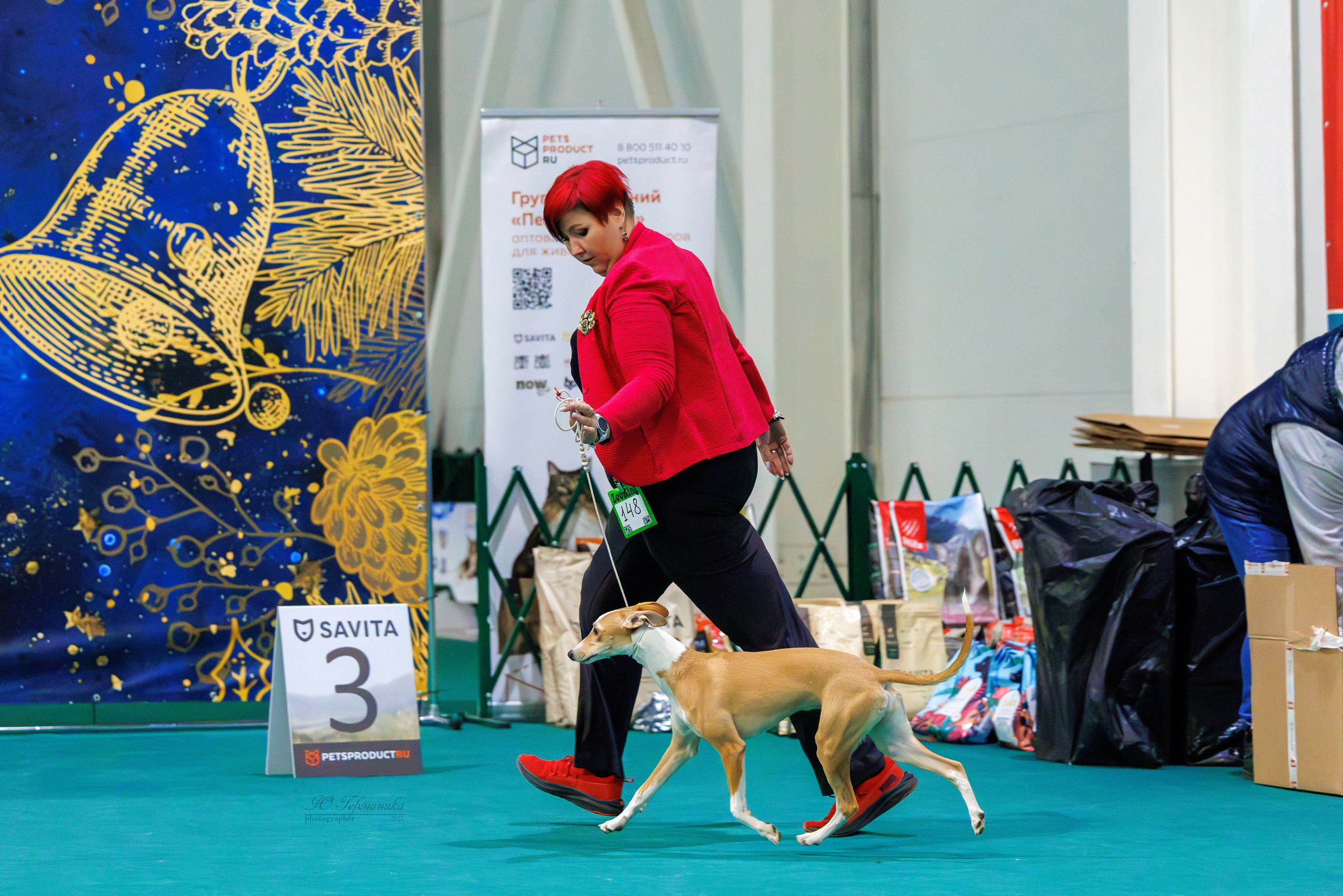 Питер ротвейлеры 18.01,Крокус 19.01.2025. Фотограф-анималист Юлия Германика