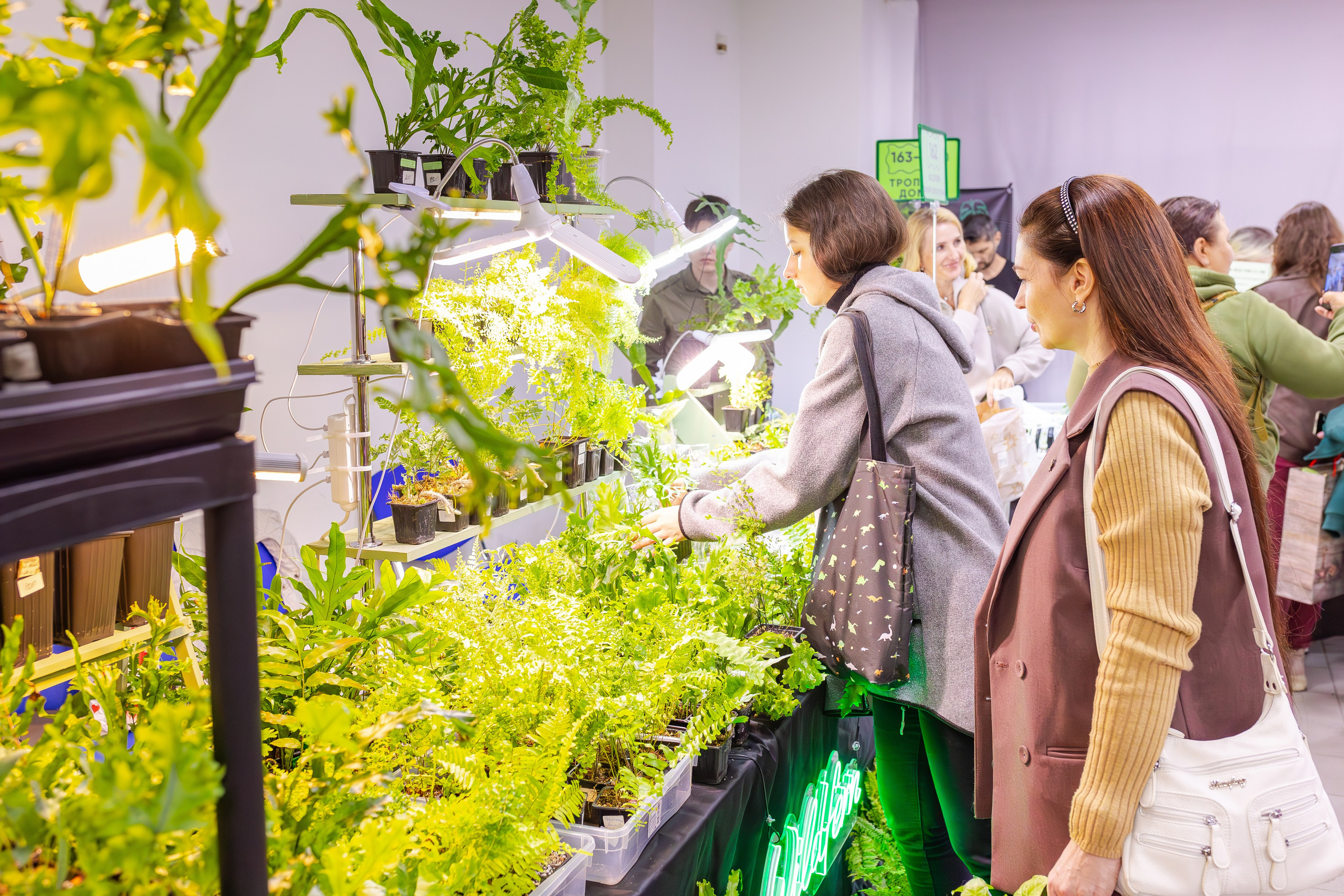 Орхидиум сентябрь 2025. Александра Куликова фотограф, Москва