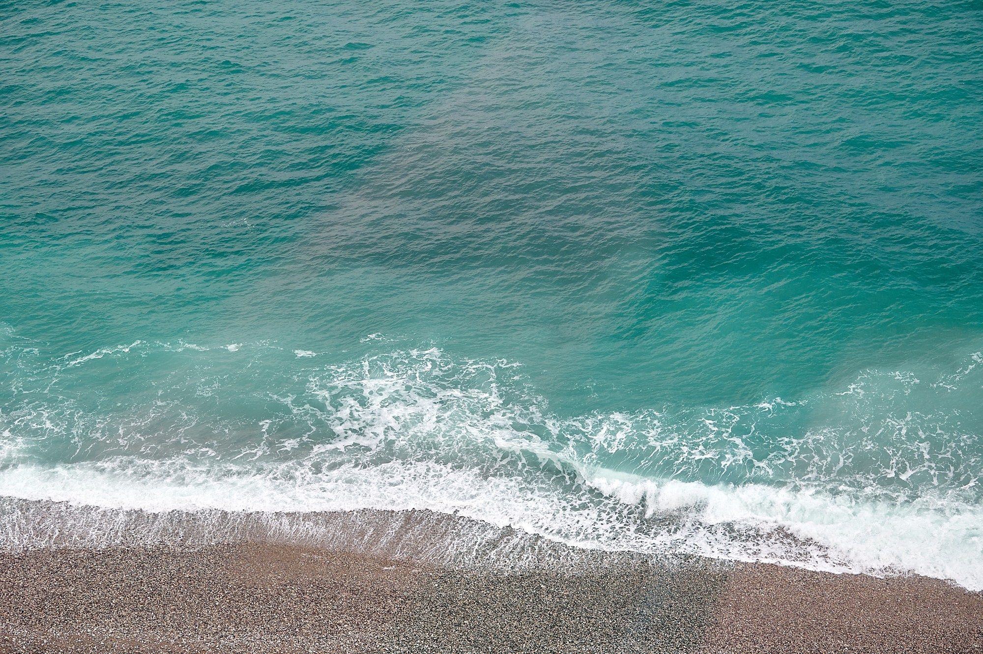 Пицунда, Абхазия. Декабрь 2024. Фотографии отовсюду и обо всем