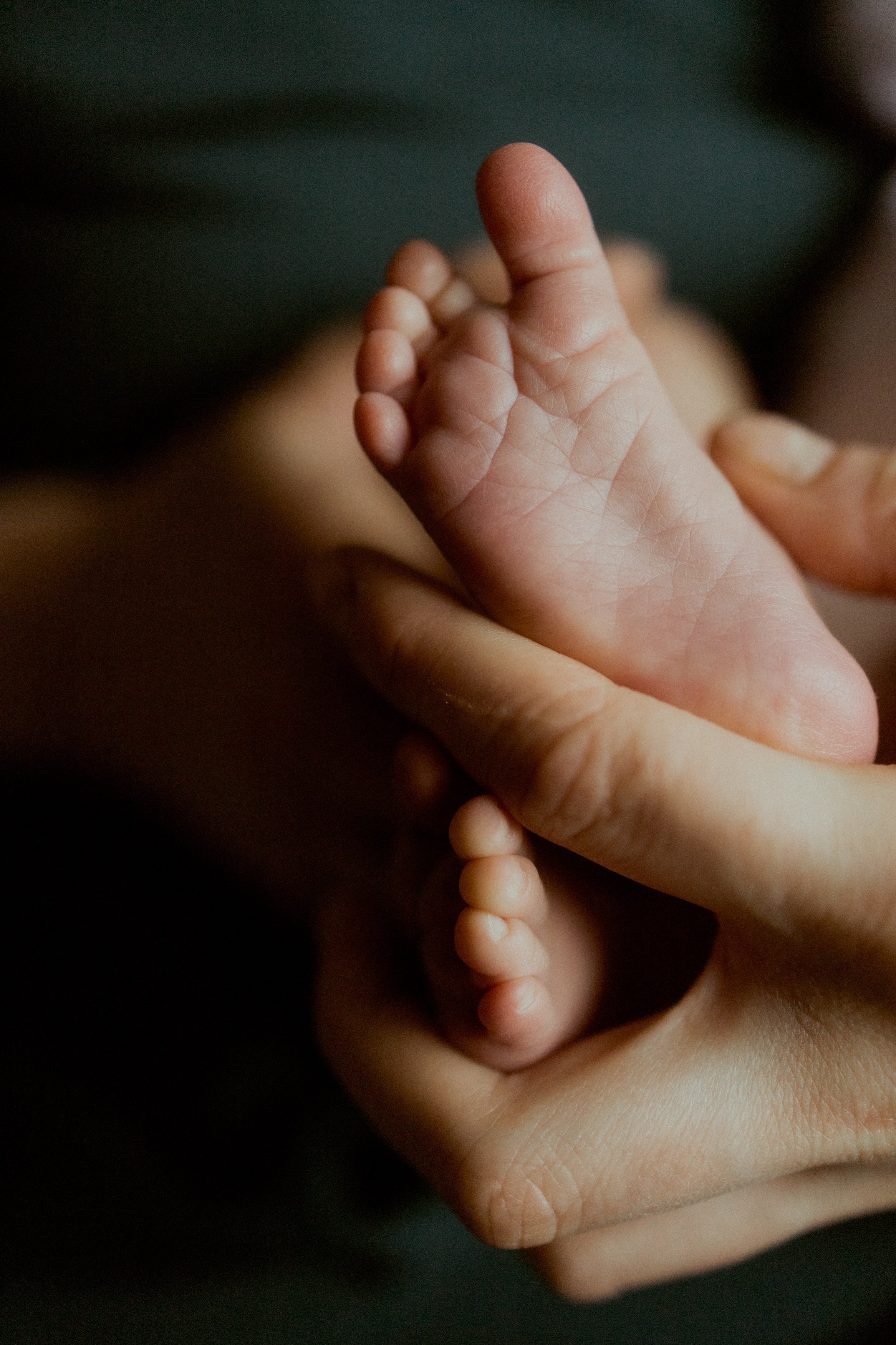 фотосессия новорожденного, фотосессия новорожденных, ньюборн, пушкин, павловск, спб, семейная фотосессия