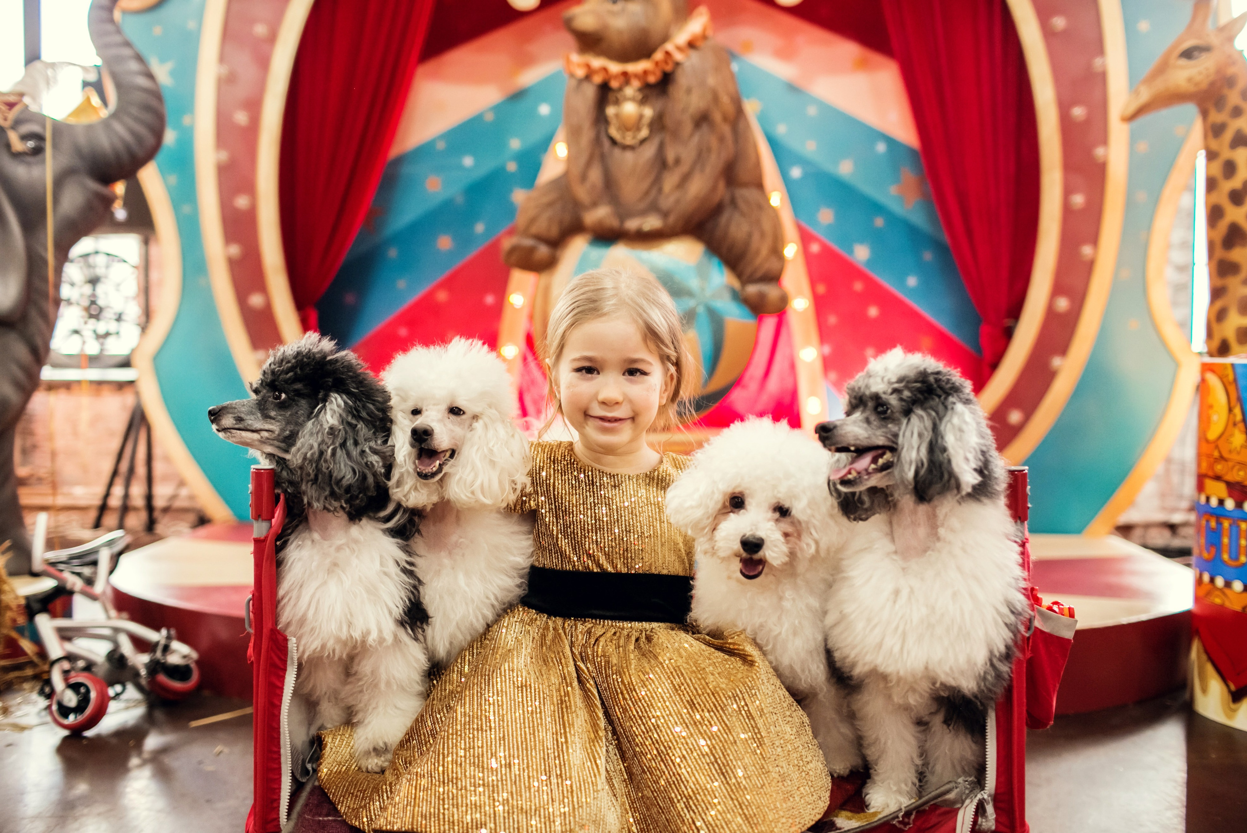 Насте 5 лет. Детский и семейный фотограф в Москве Анна Ипатьева