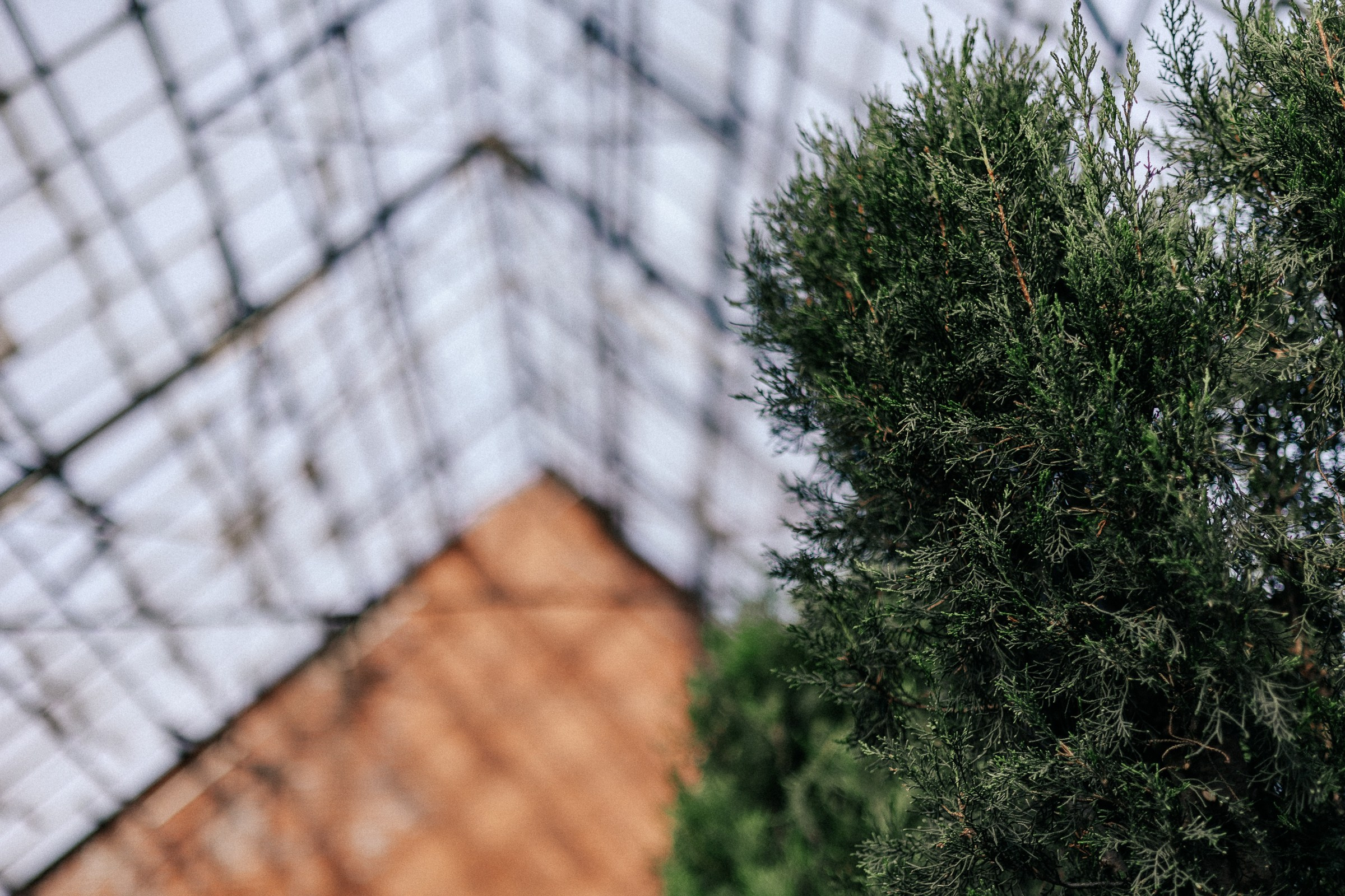 Михаил и Виктория. Свадебный и семейный фотограф в Красноярске Анастасия Турчанова