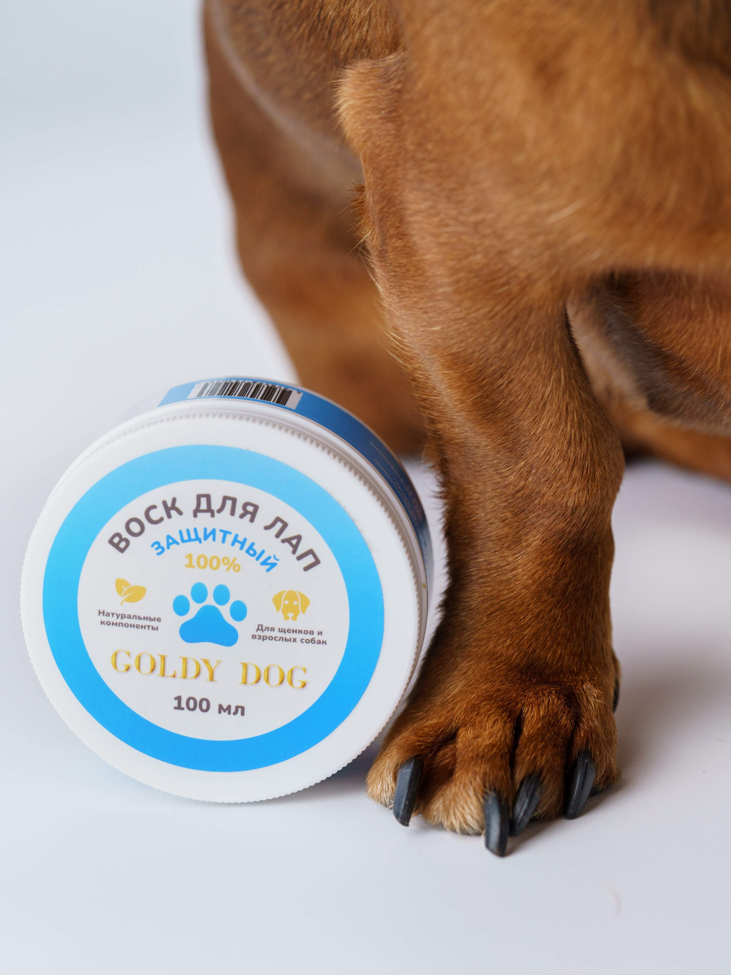 Съемки с животными. КЕД Студия-контент агентство полного цикла СПБ. Создаём фото, видео и контент, который помогает брендам и селлерам продавать больше