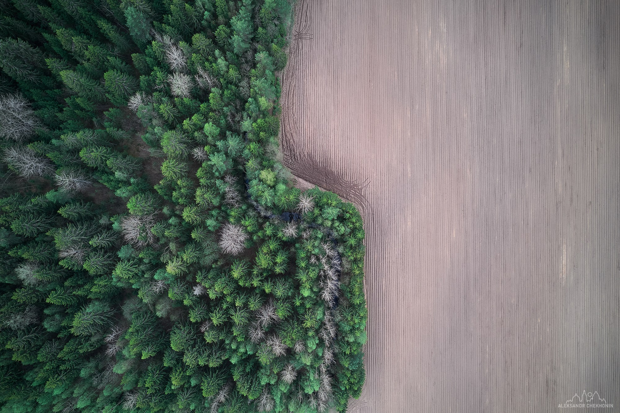 Aerial photography. Landscape photographer Aleksandr Chekhonin