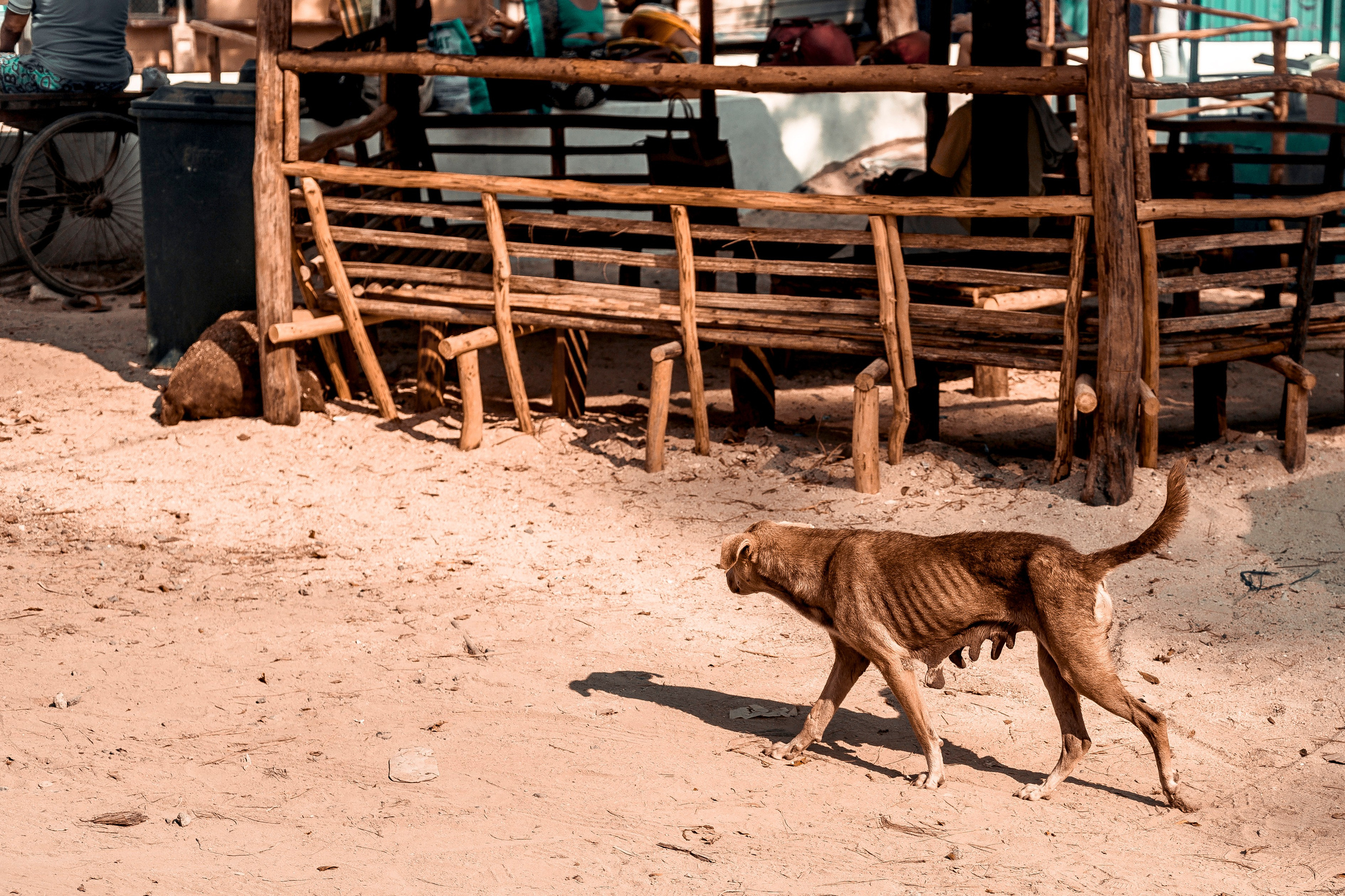 Andaman Island, part 1. Art Photographer