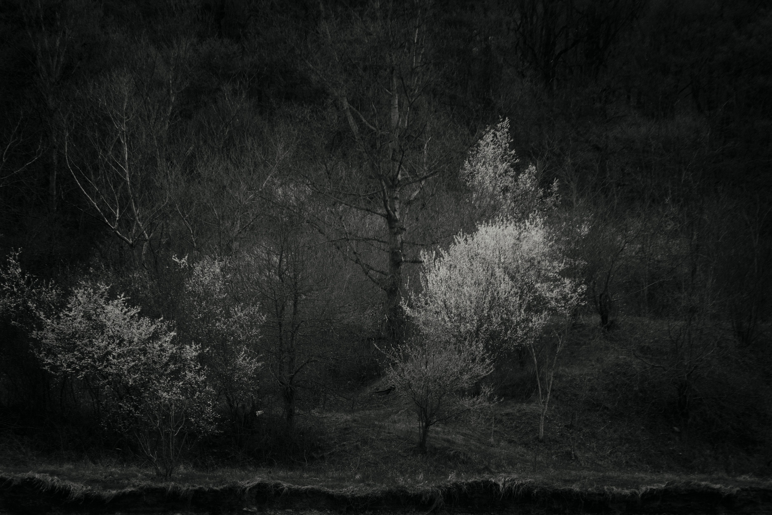 Homeland Adygea. Visual artist