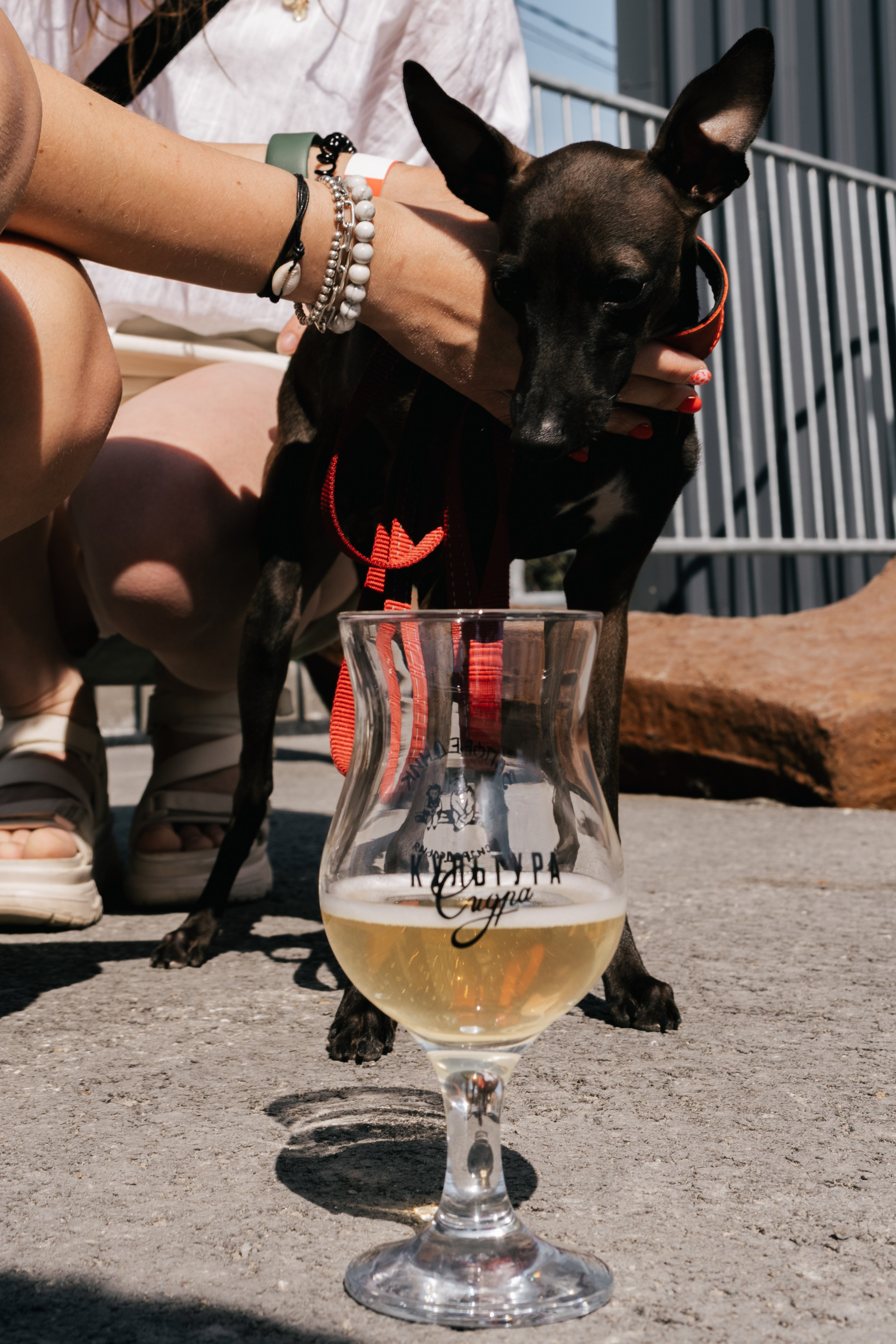 Главная. Репортажный фотограф в Тюмени Татьяна Мужева