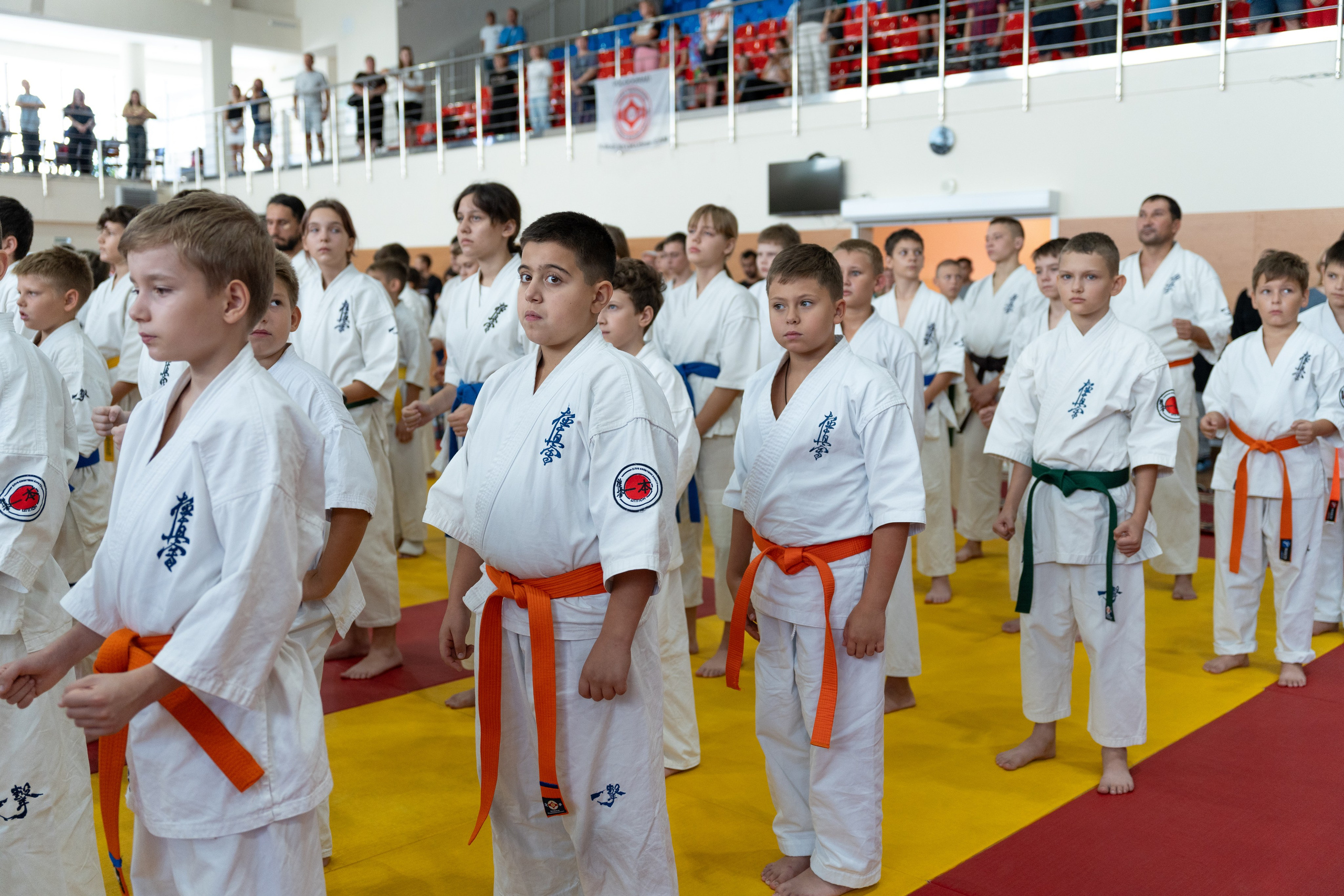 Репортажная съемка соревнований по каратэ. Профессиональный фотограф Геленджик, Новоросийск Виктория Цейс
