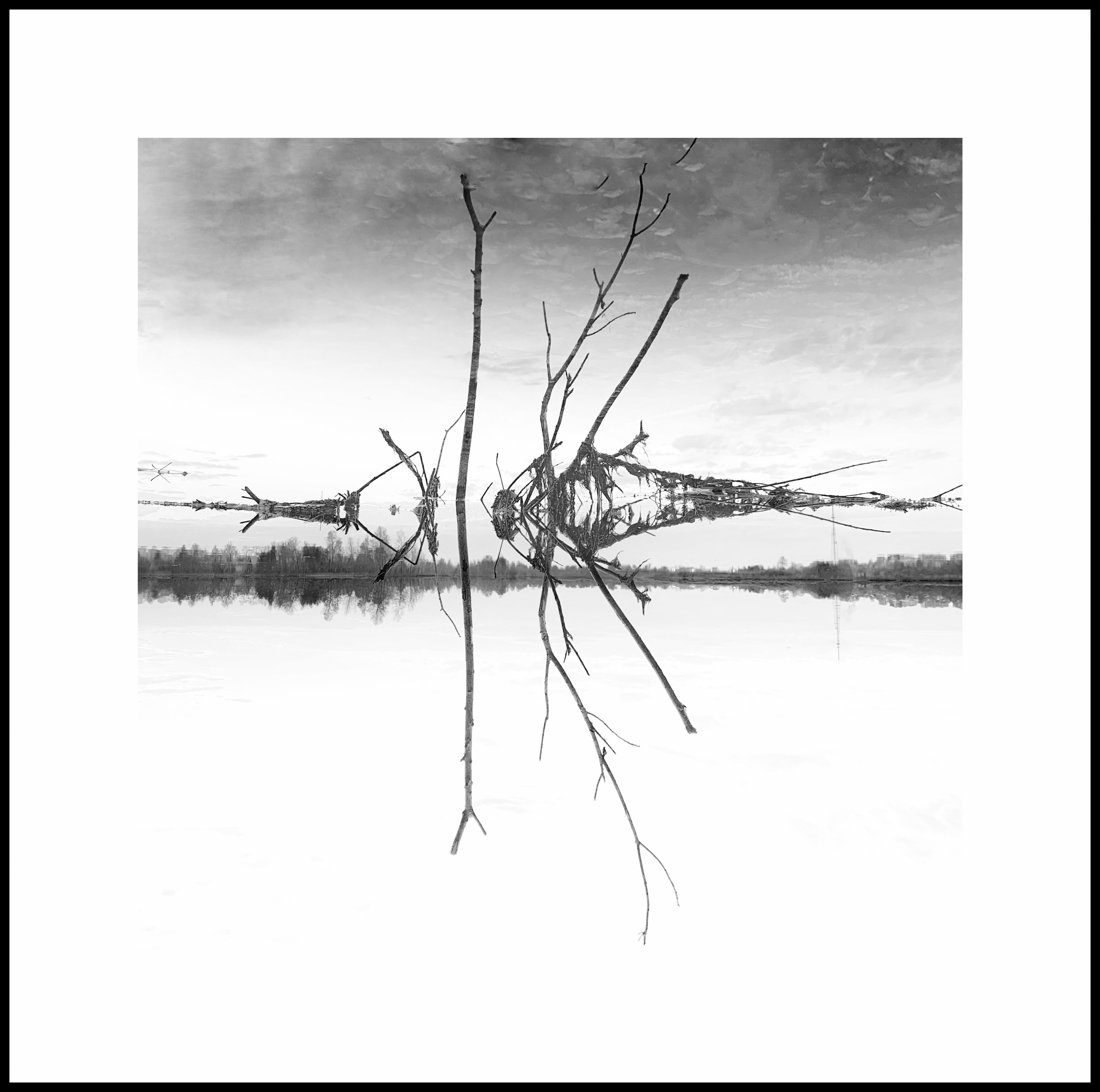 2022. Тащилин Сергей. Фотографии. Жизнь. Хобби