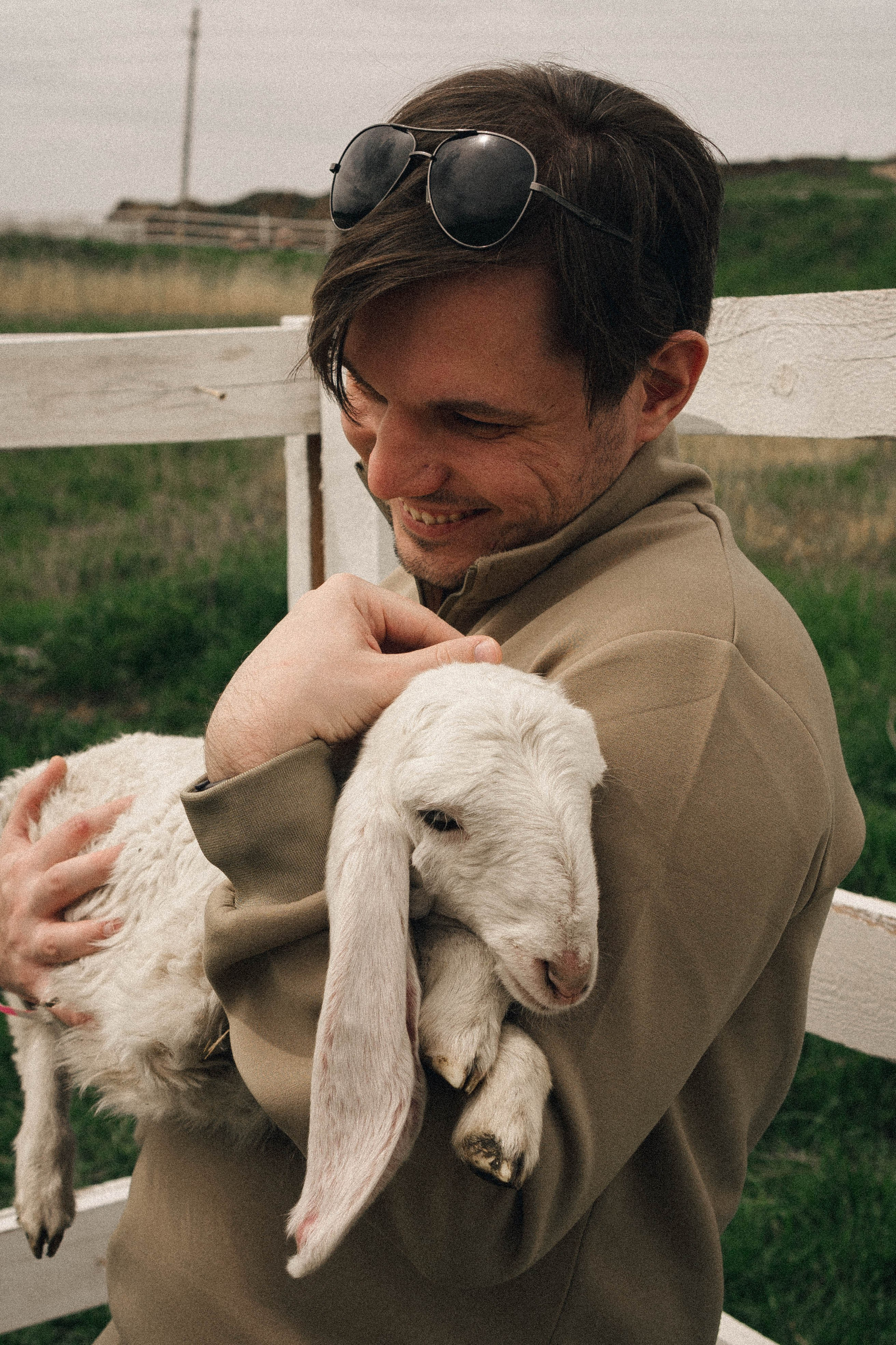Ферма Альпак. Профессиональный фотограф, Санкт-Петербург — Виктория Богомолова