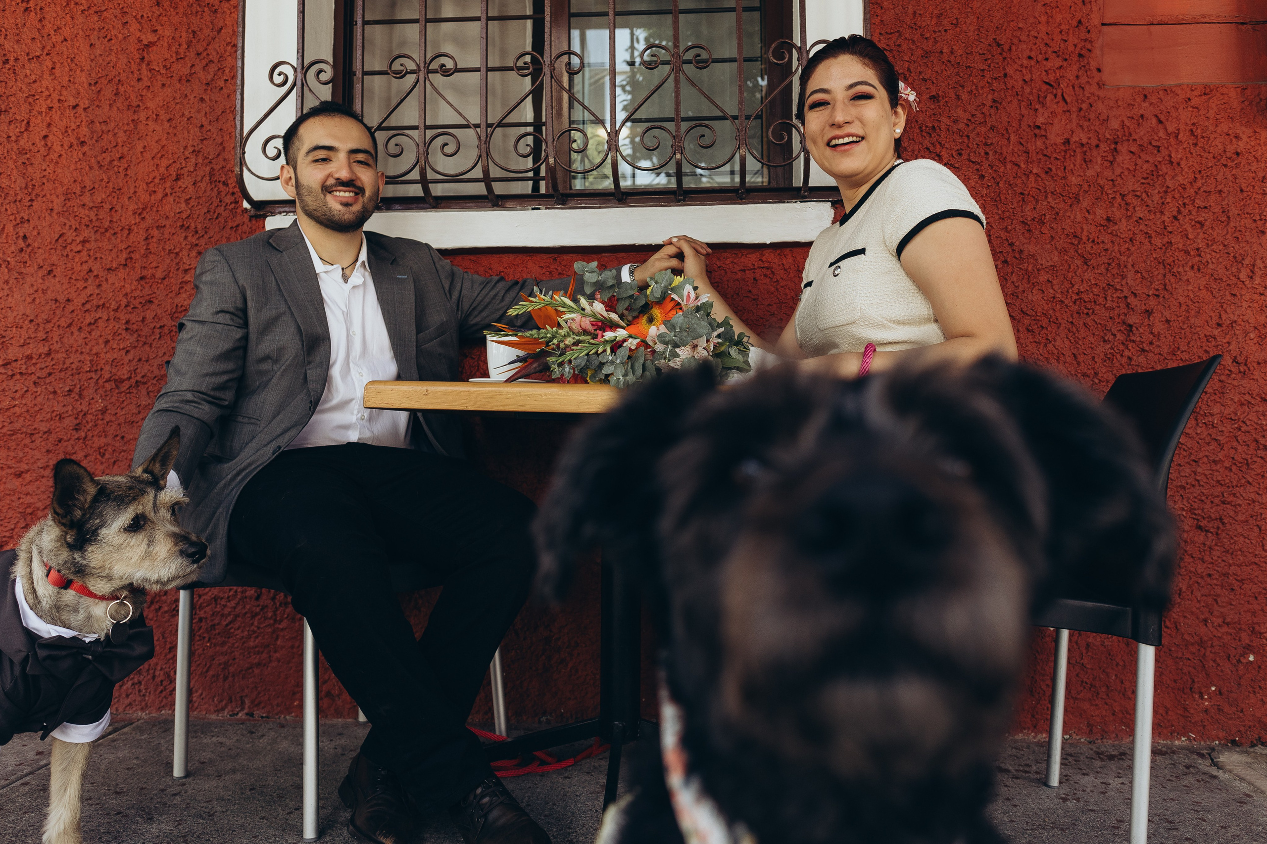 Химена и Мануэль, Ариа и Буки. Ирина Крохалева. Семейный фотограф в Екатеринбурге