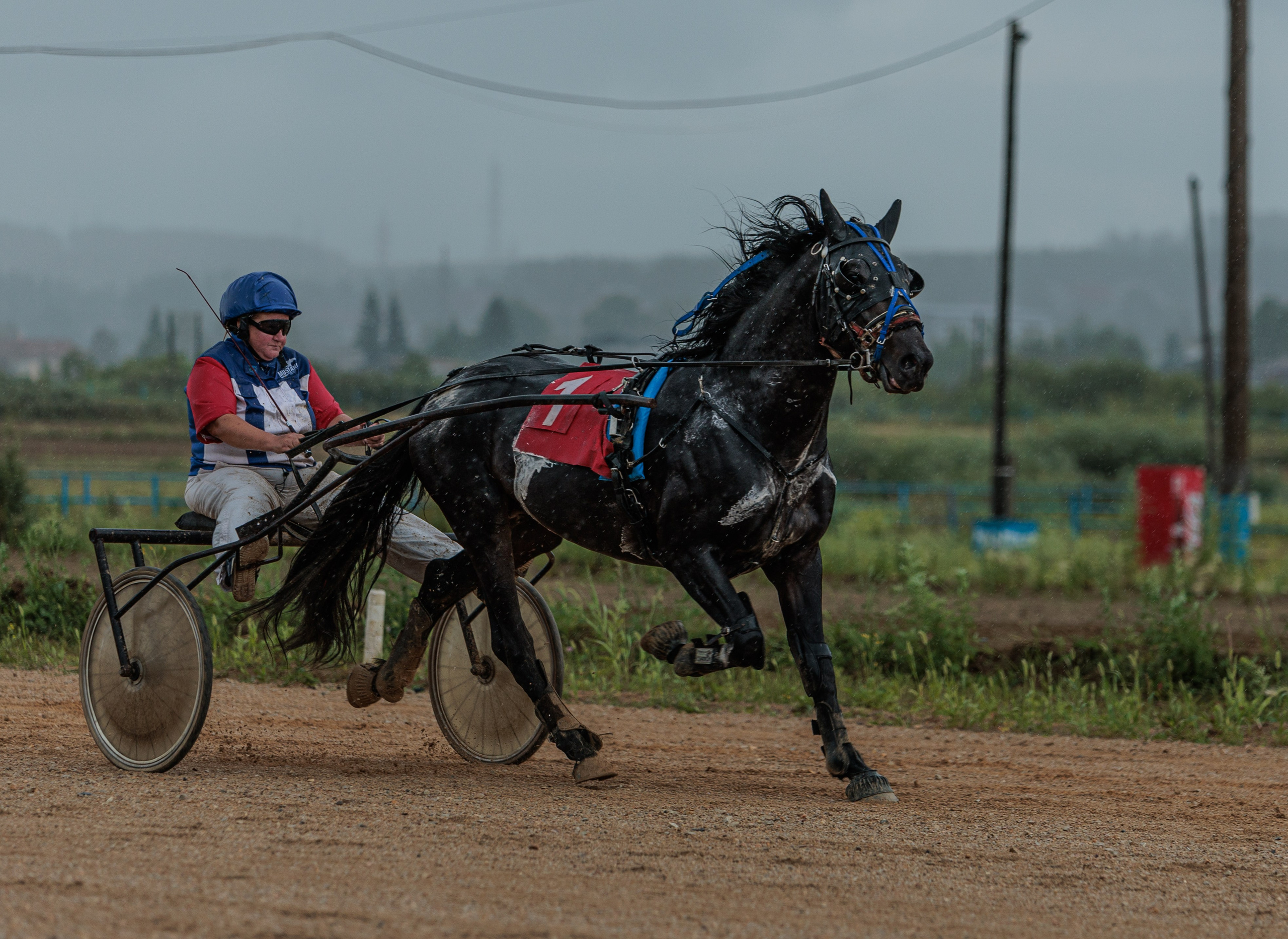 2025. Конный фотограф в Красноярске — Любовь Похабова