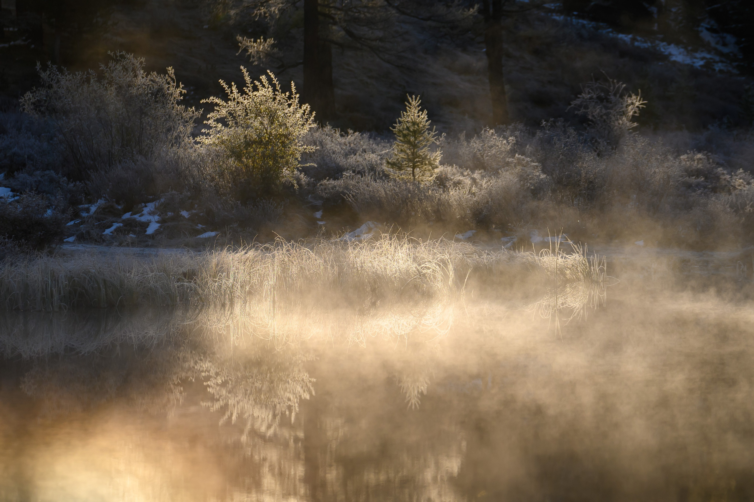 Горный Алтай. Фотограф Антон Денисенко: Портрет, Документалистика, Пейзаж. Москва