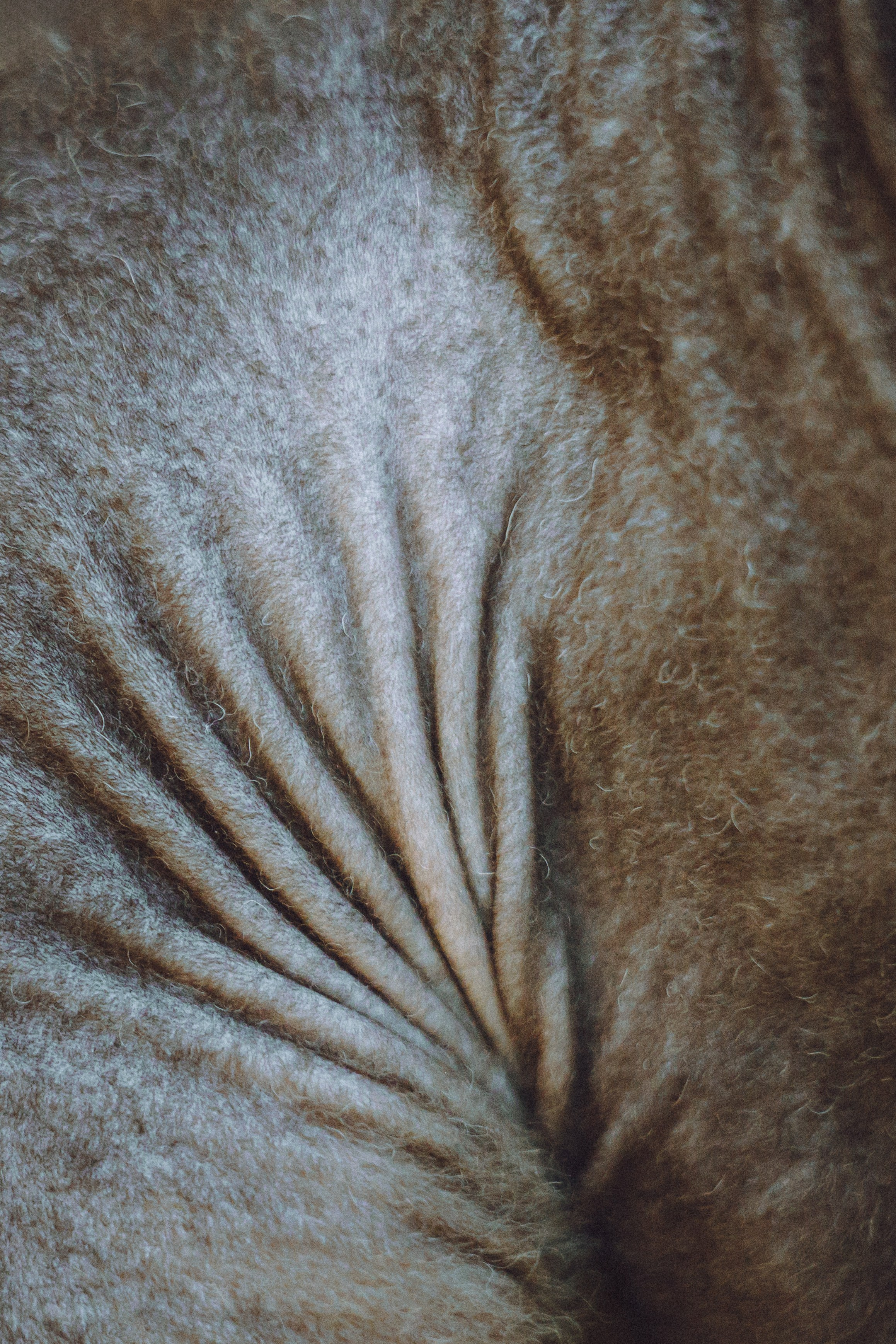 Кокос, Света, Динара и Вилли