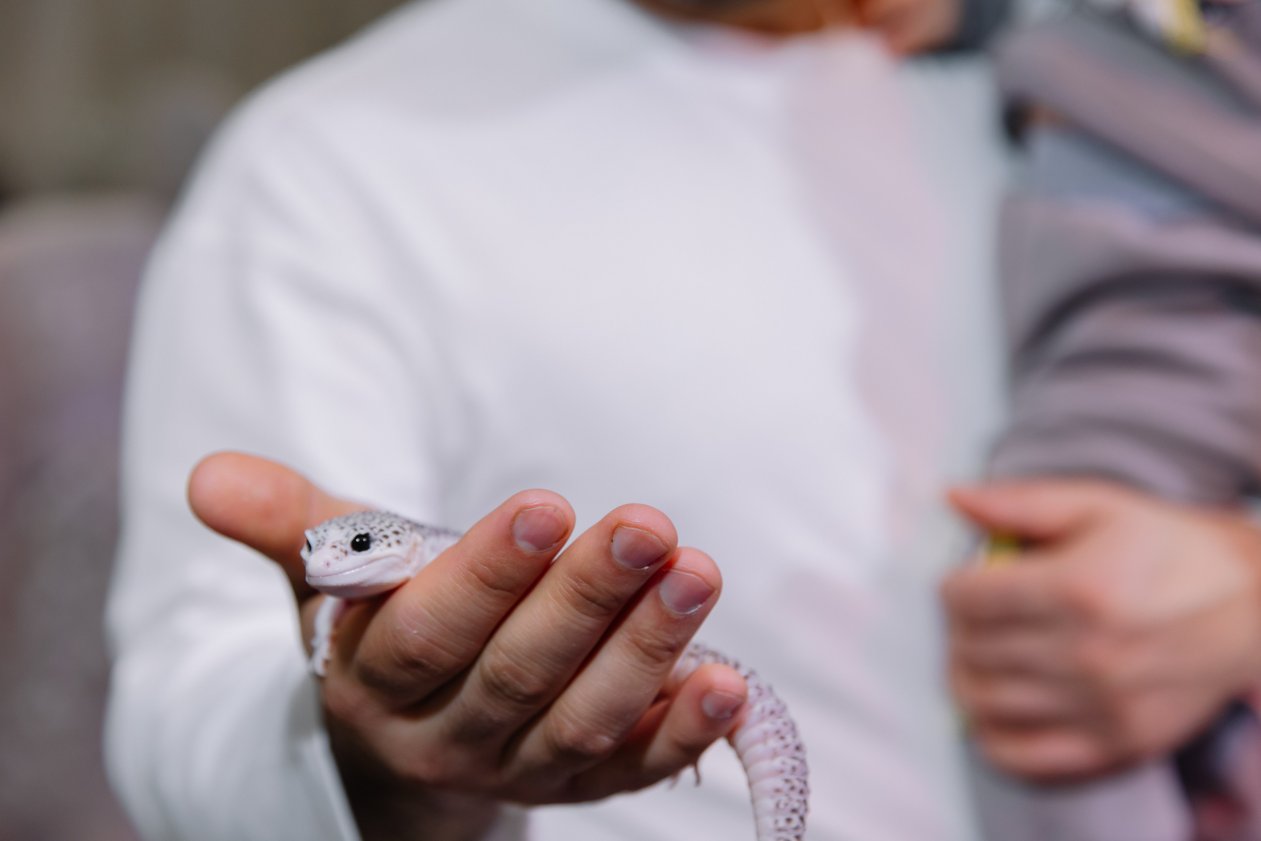 День рождения 1 годик Эльмиру. Свадебный фотограф в Новосибирске Лидия Александровна