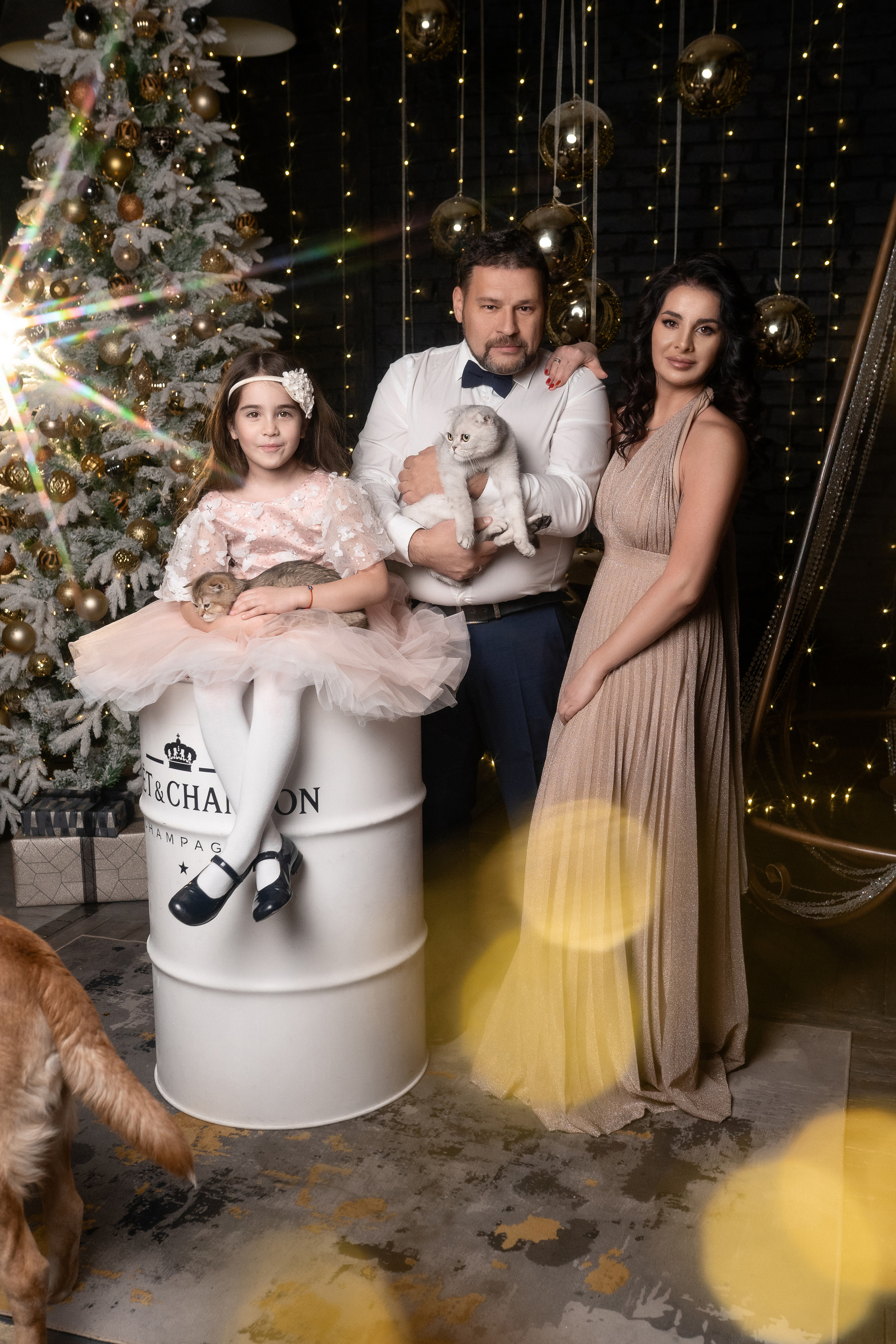 Анна, семейная. Фотограф в Хабаровске Екатерина Масальская