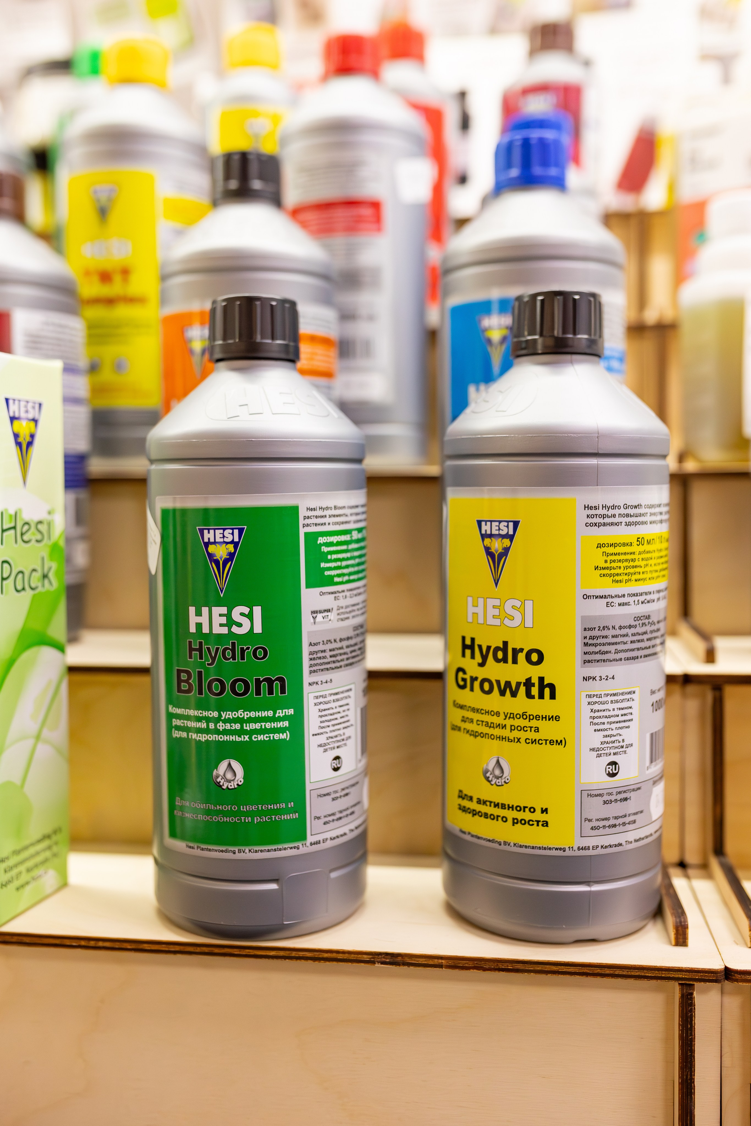 Орхидиум сентябрь 2025. Александра Куликова фотограф, Москва