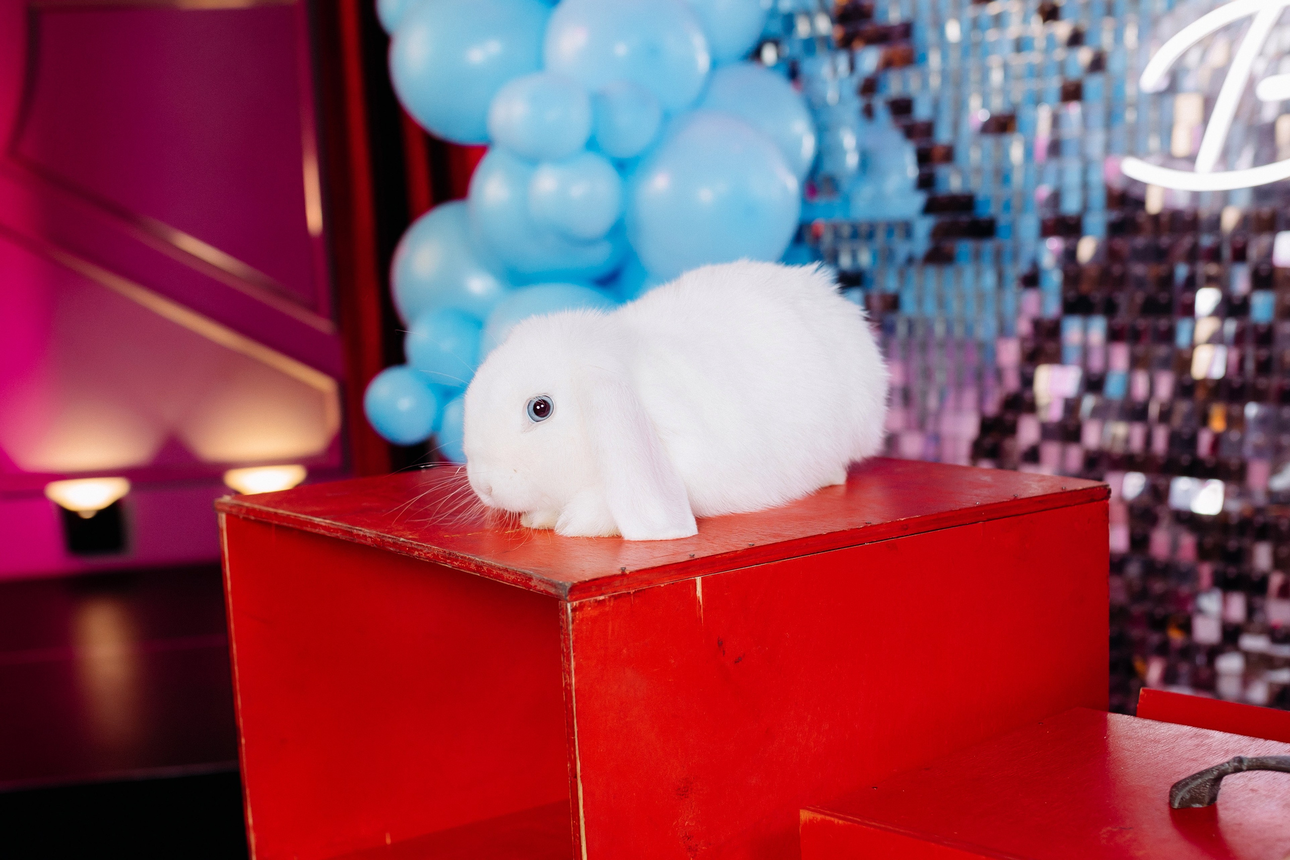 Дни Рождения. Фотограф в Санкт-Петербурге Кирюшенков Андрей