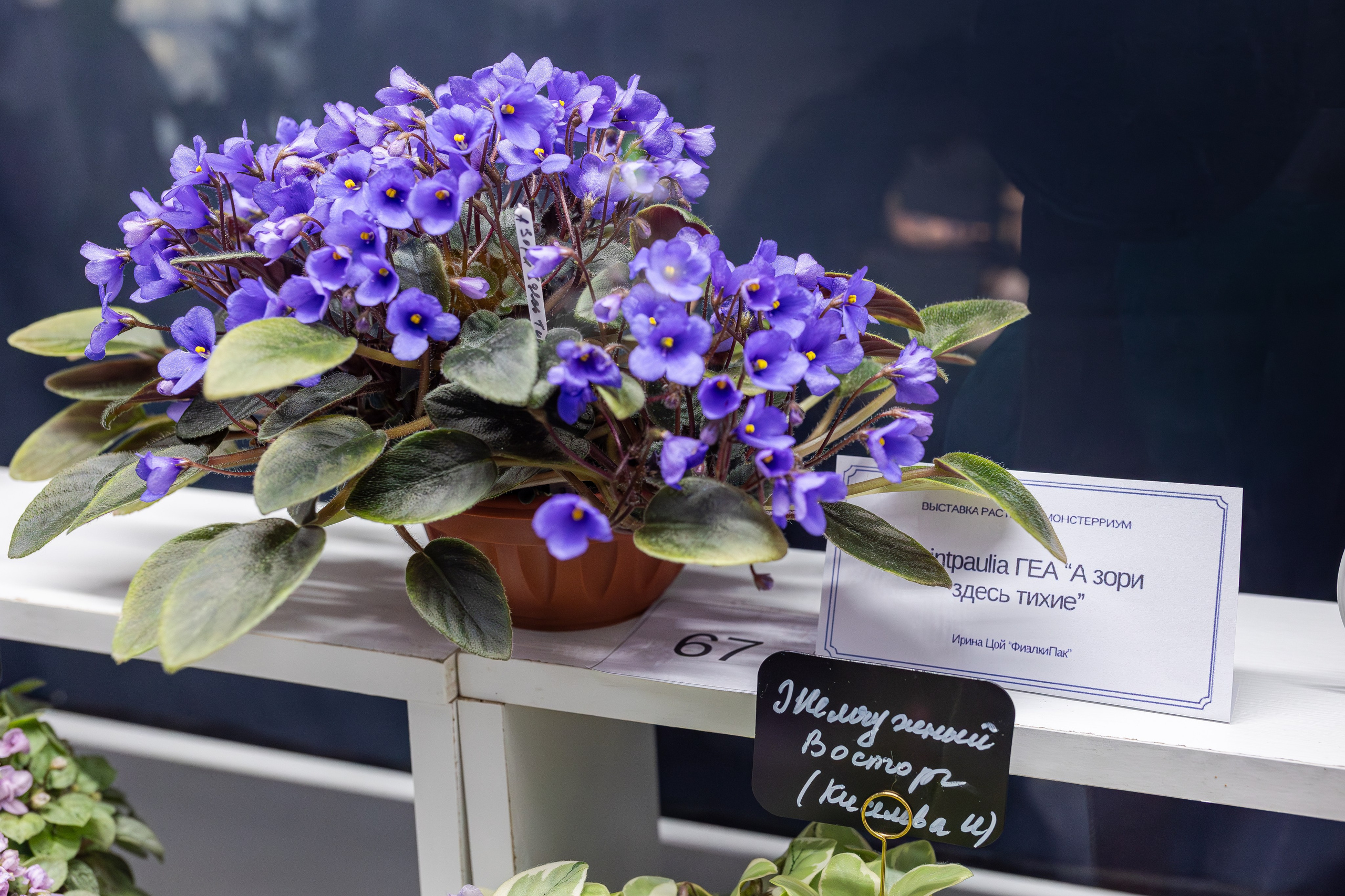 Монстериум апрель 2026. Александра Куликова фотограф, Москва