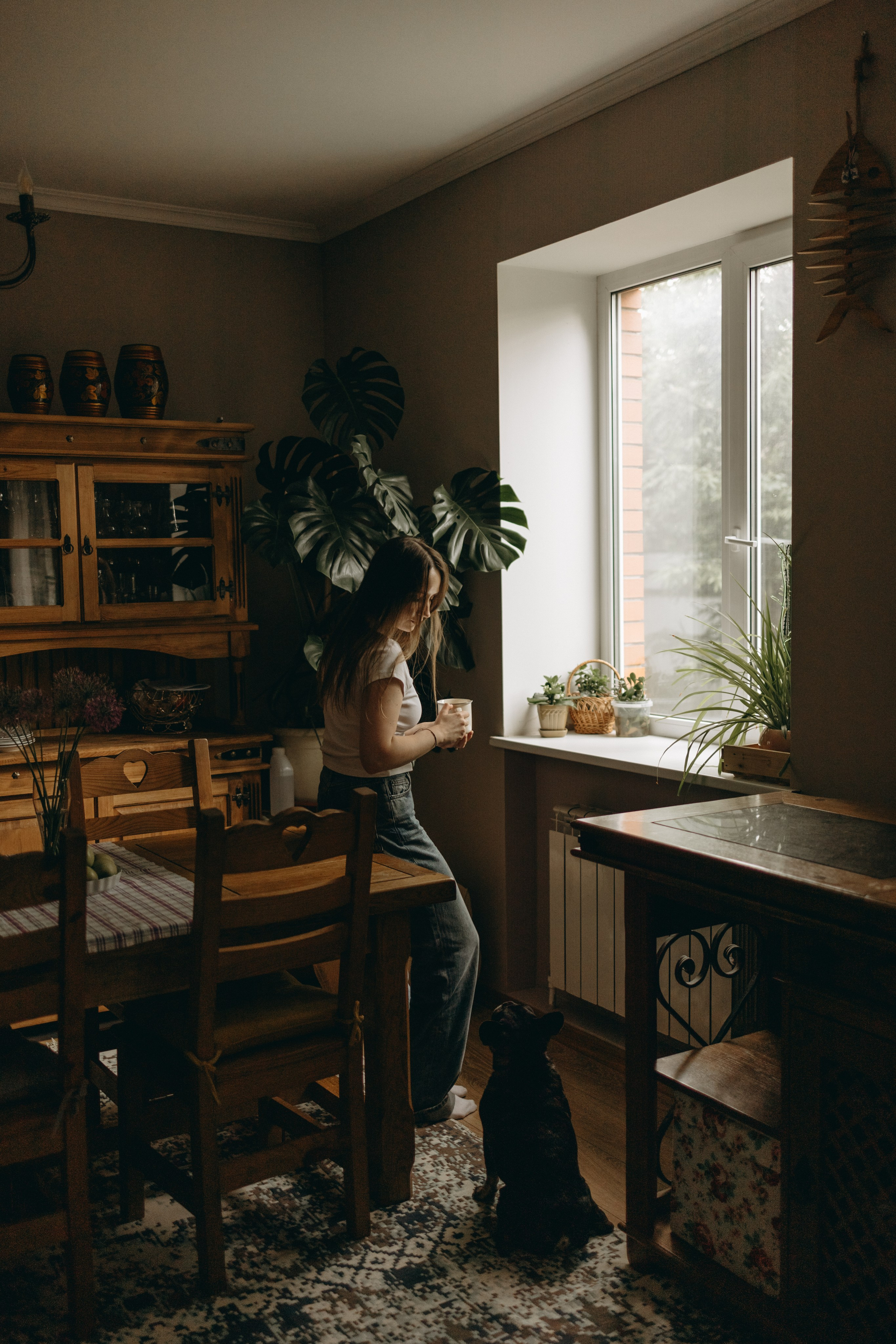 Софа и ее хвостики. Фотограф — Анималист | Санкт-Петербург